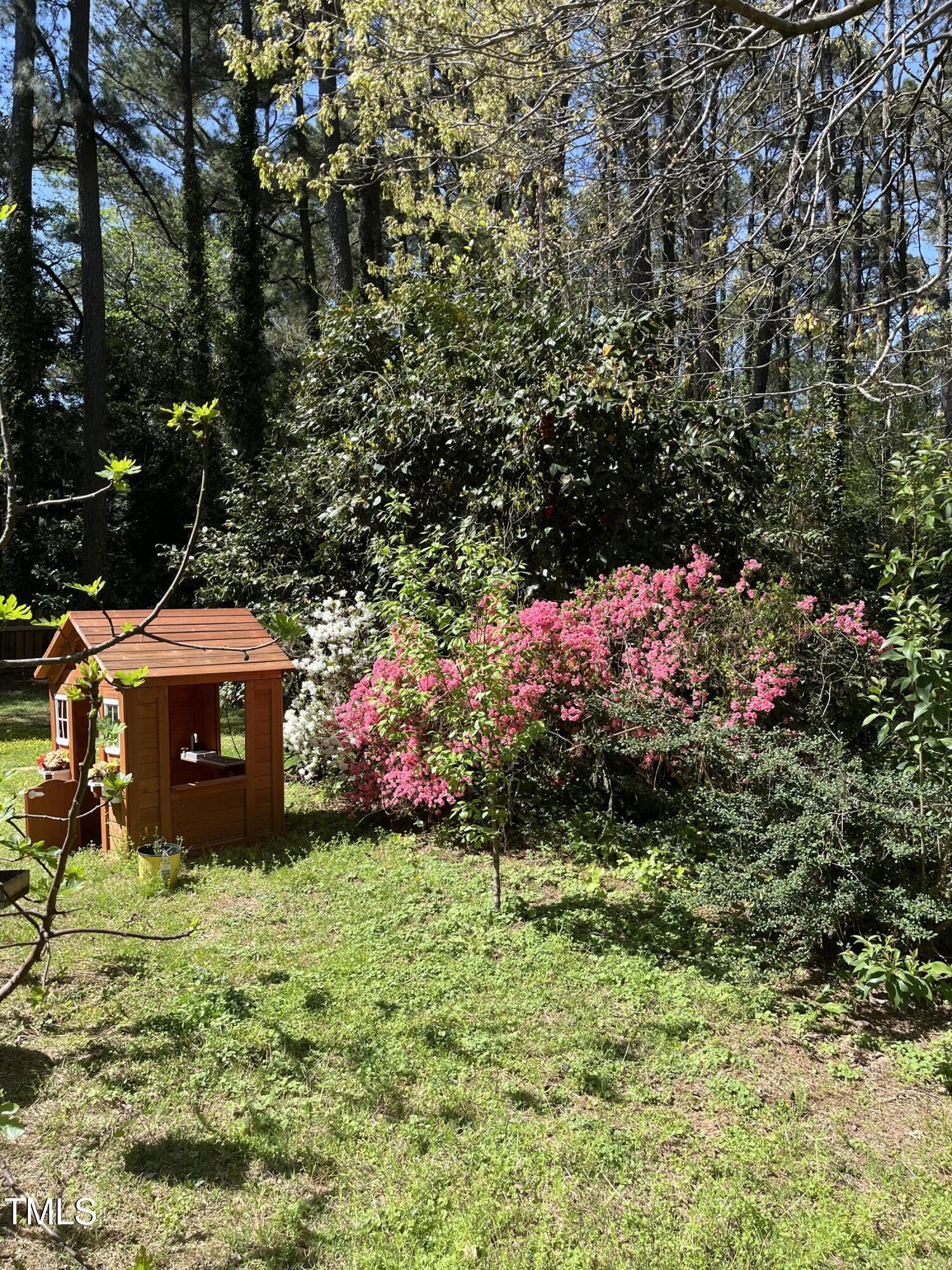 Photo #29