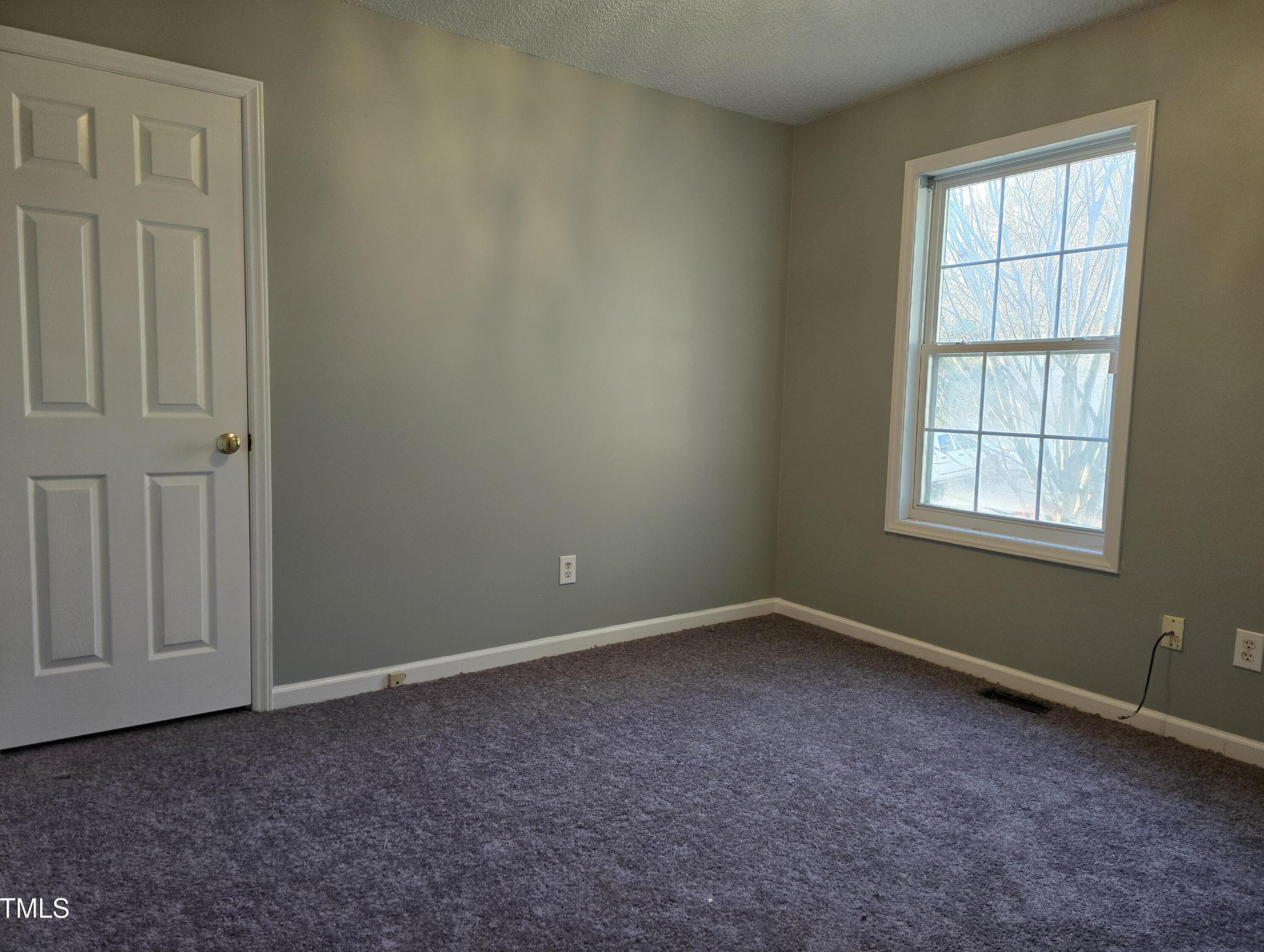 Photo #24
