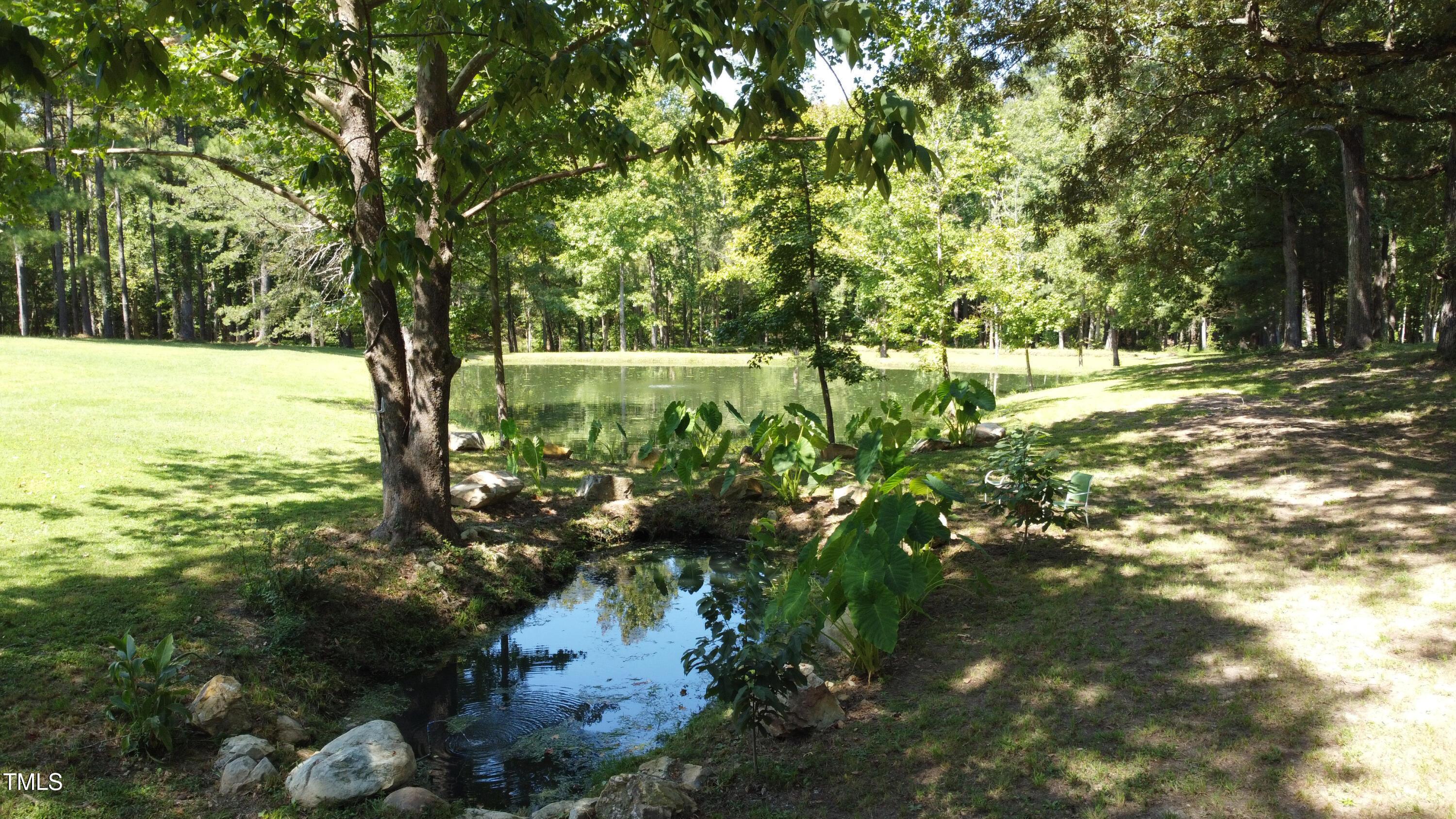Photo #20
