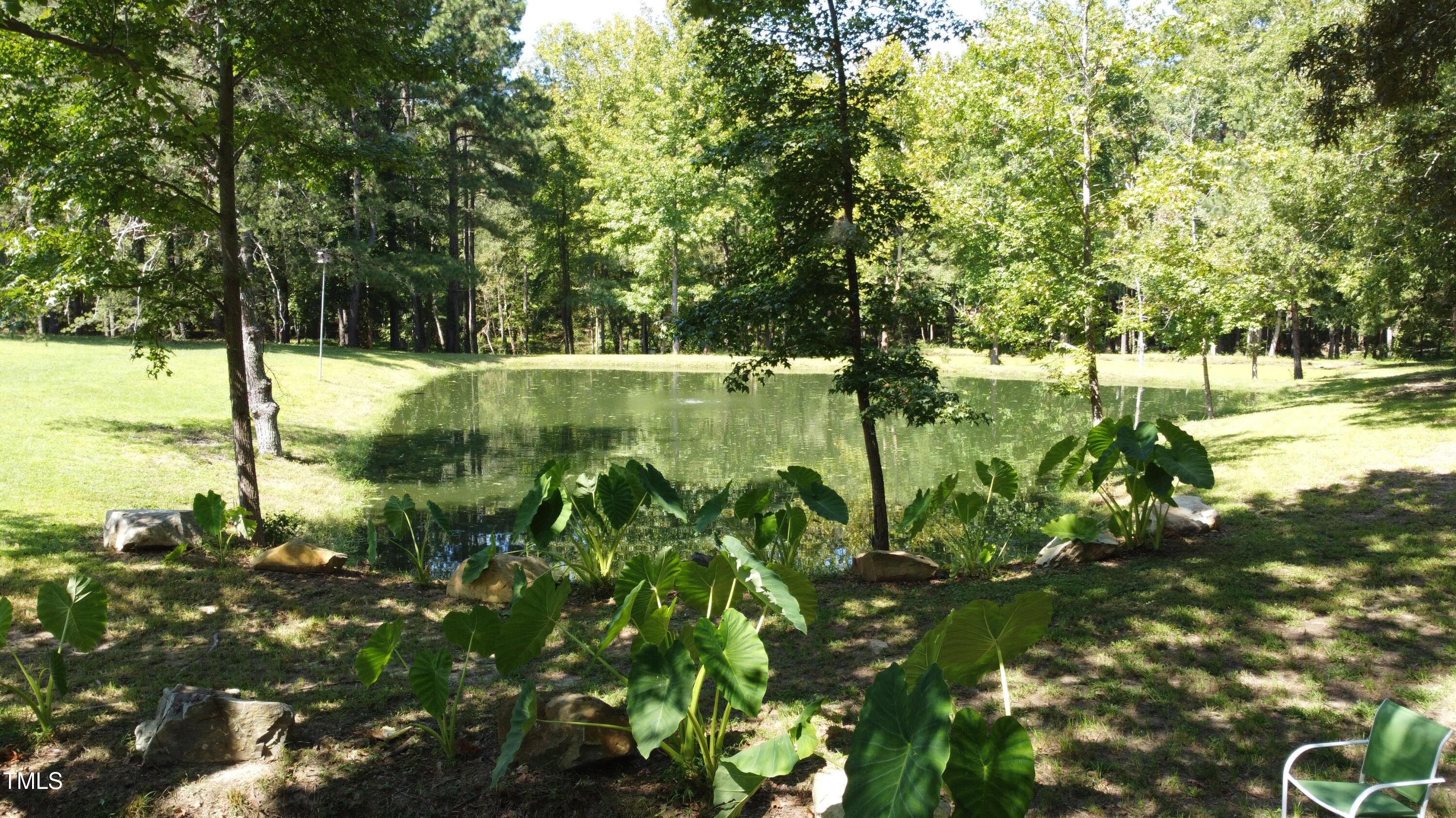 Photo #34