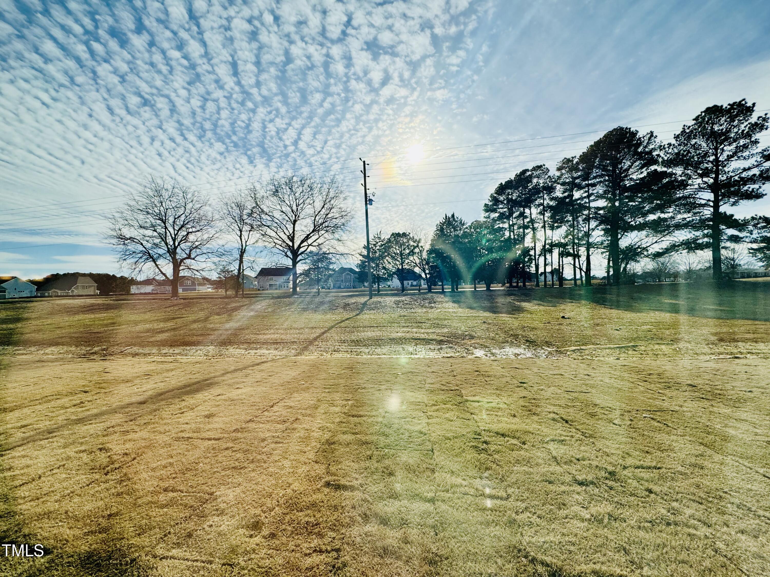 Photo #20