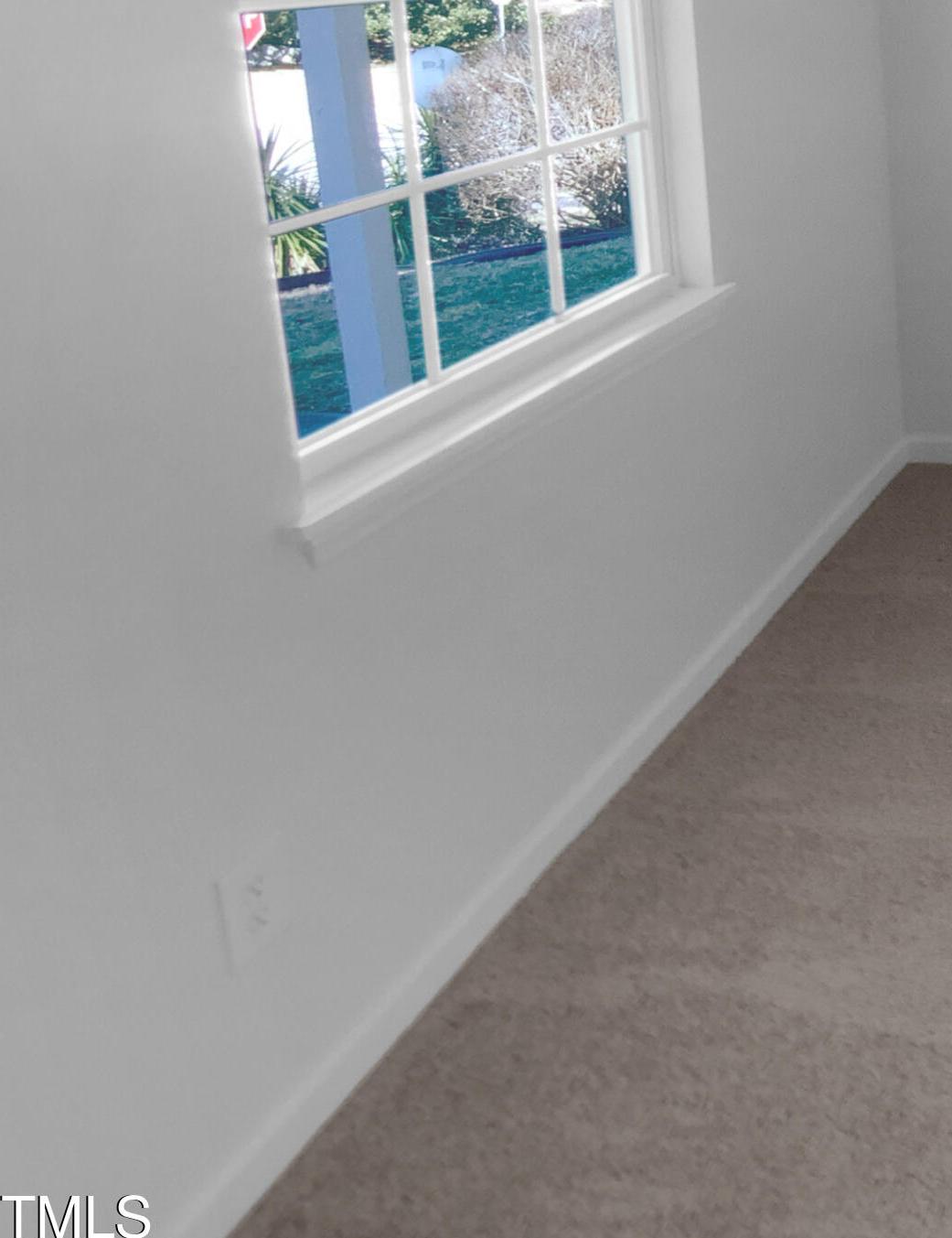 Photo #5