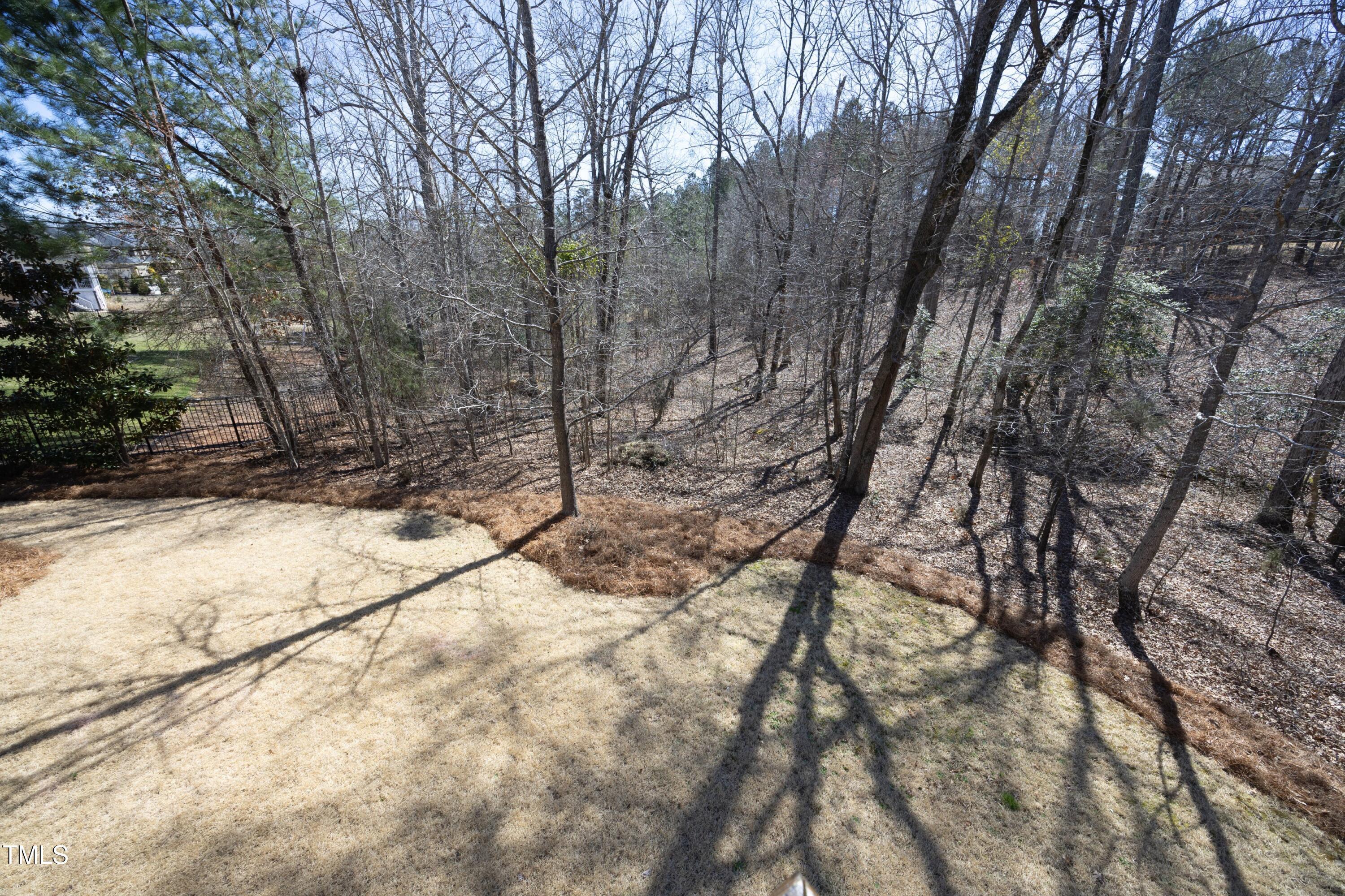 Photo #31