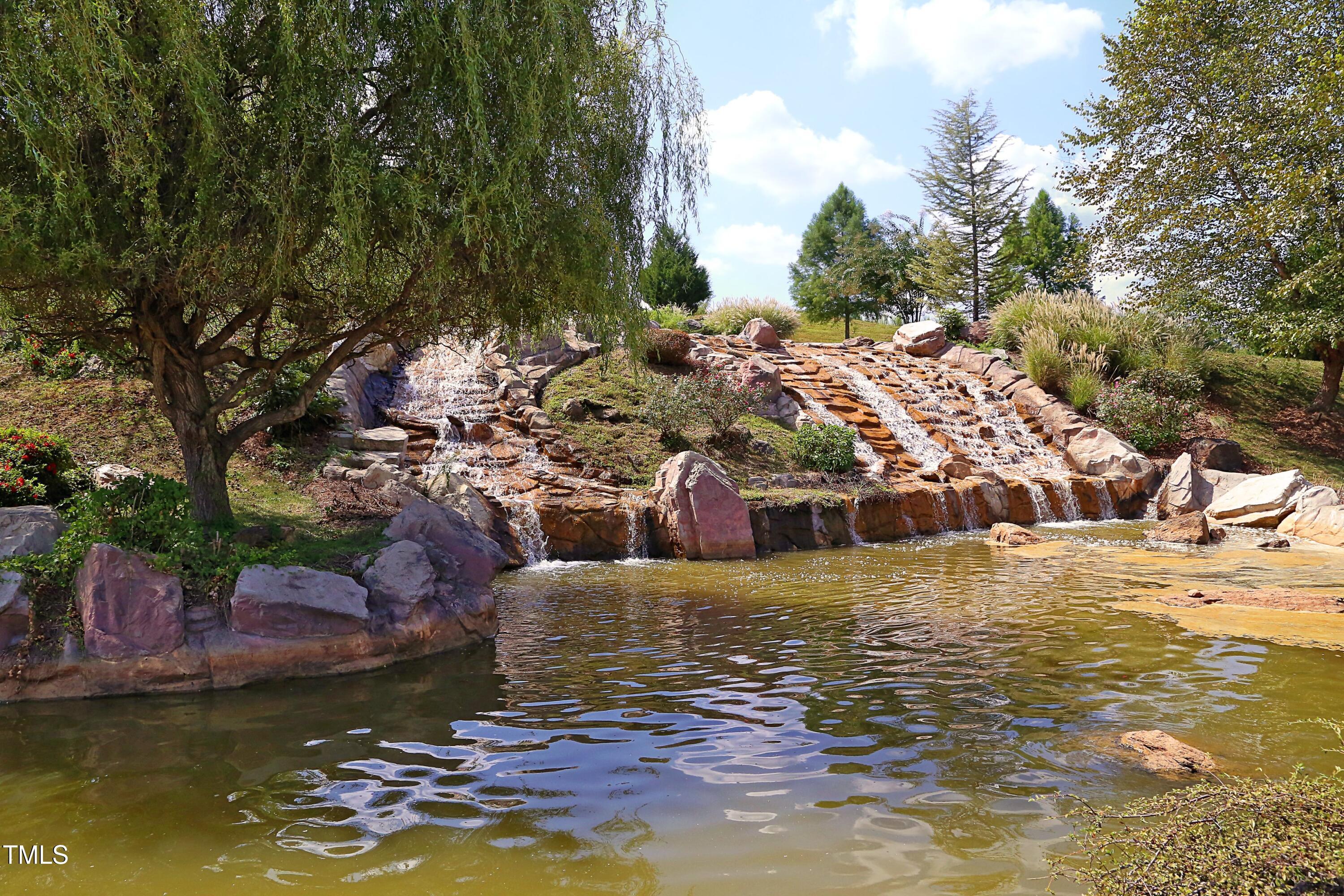 Photo #45