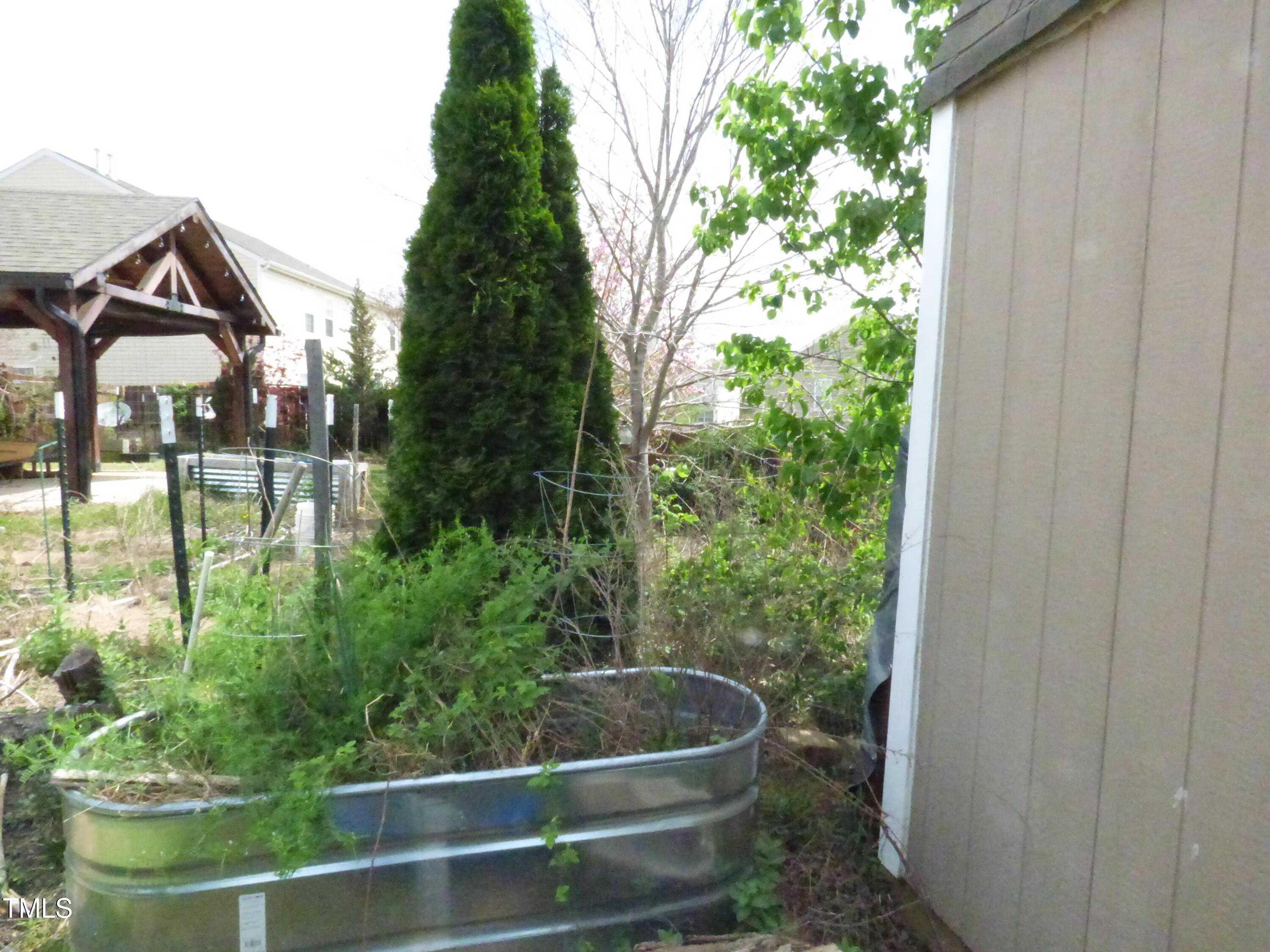 Photo #57