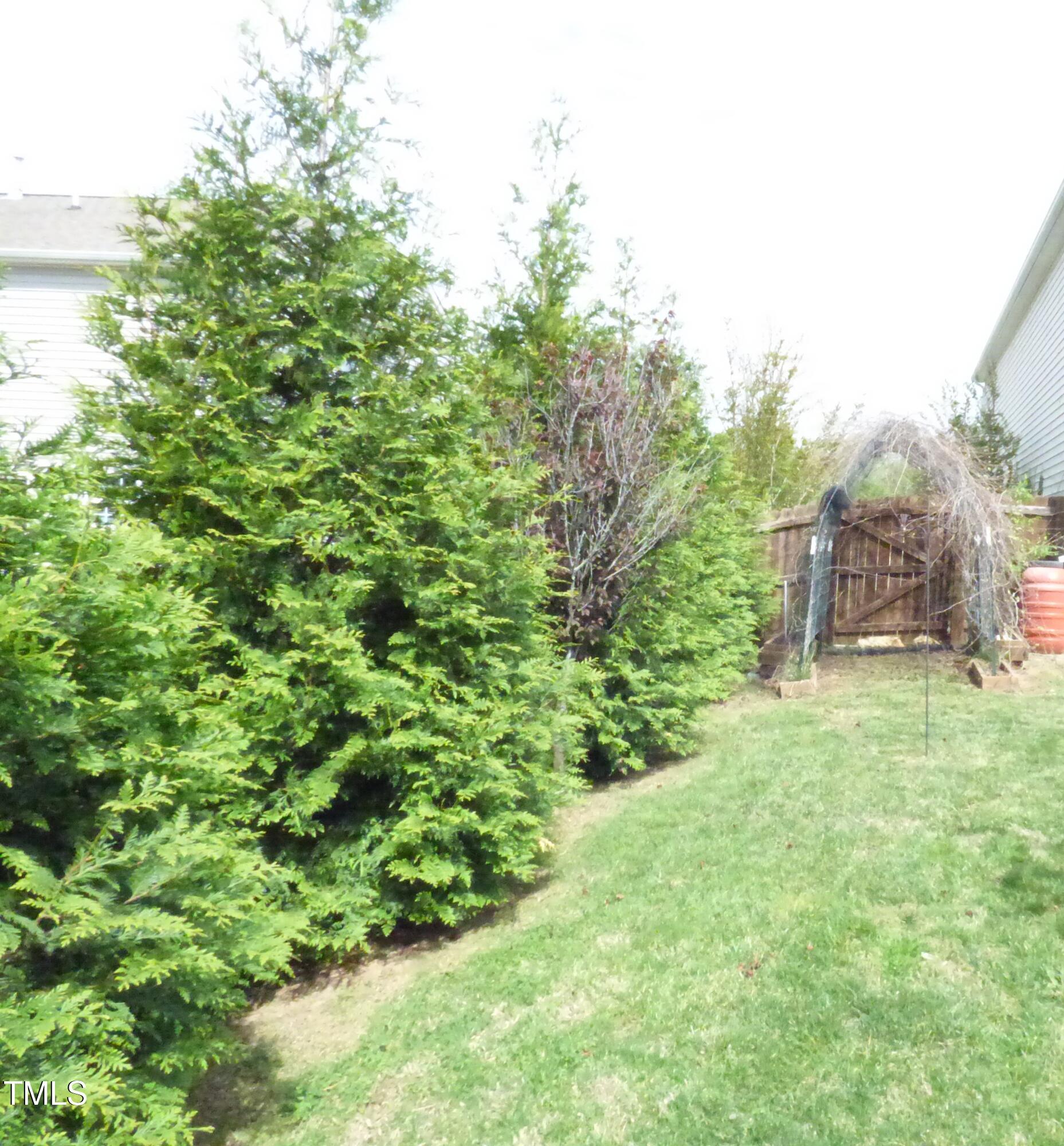 Photo #15