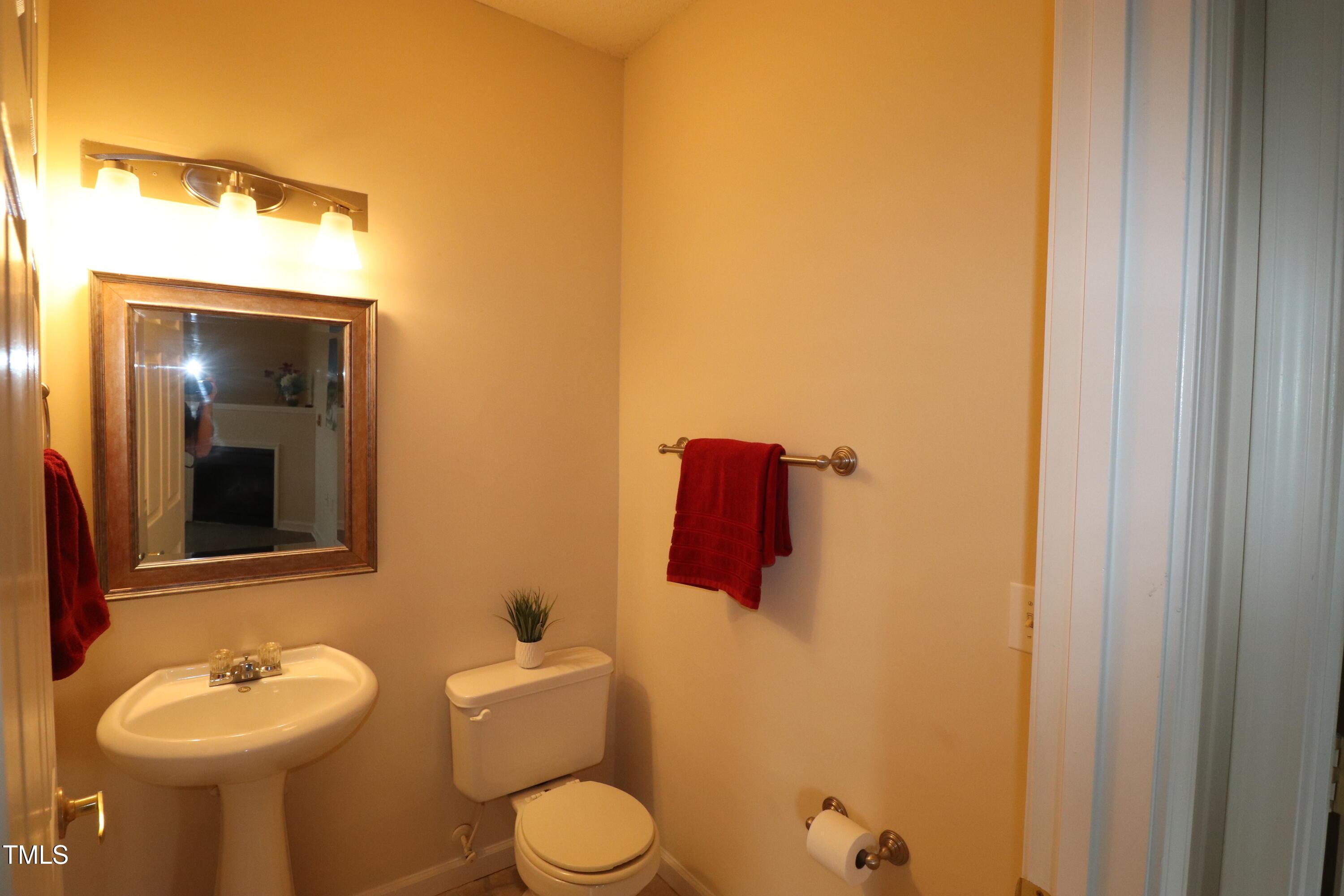 Photo #15