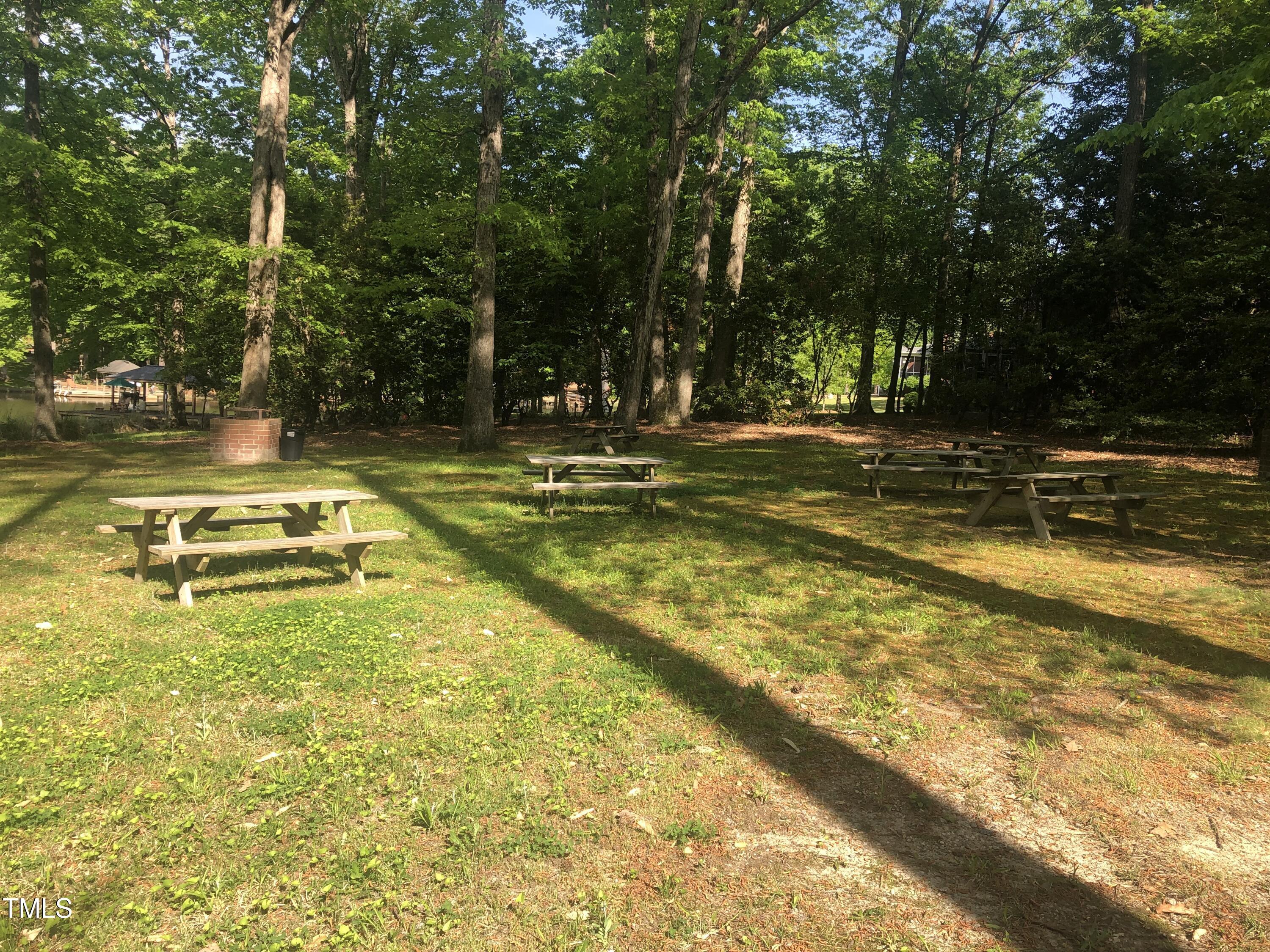Photo #41