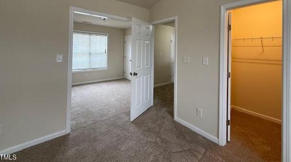 Photo #13