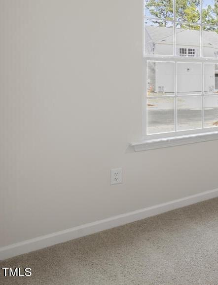 Photo #3