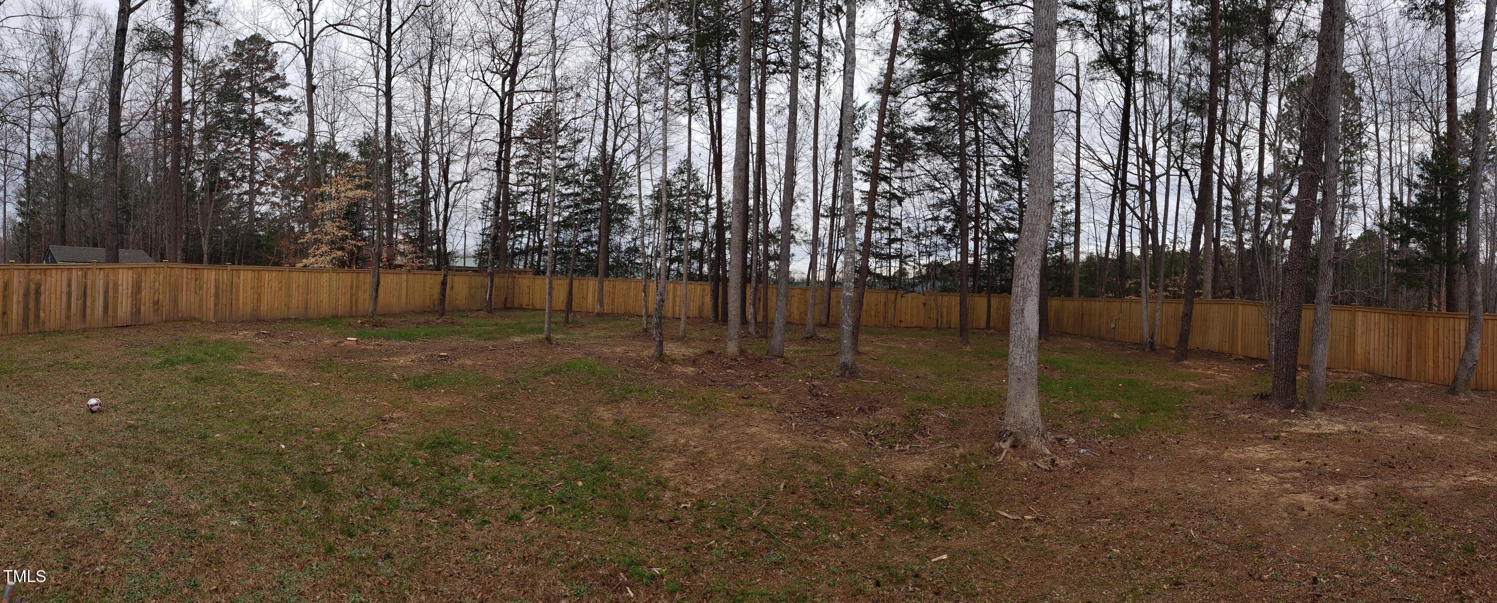 Photo #21