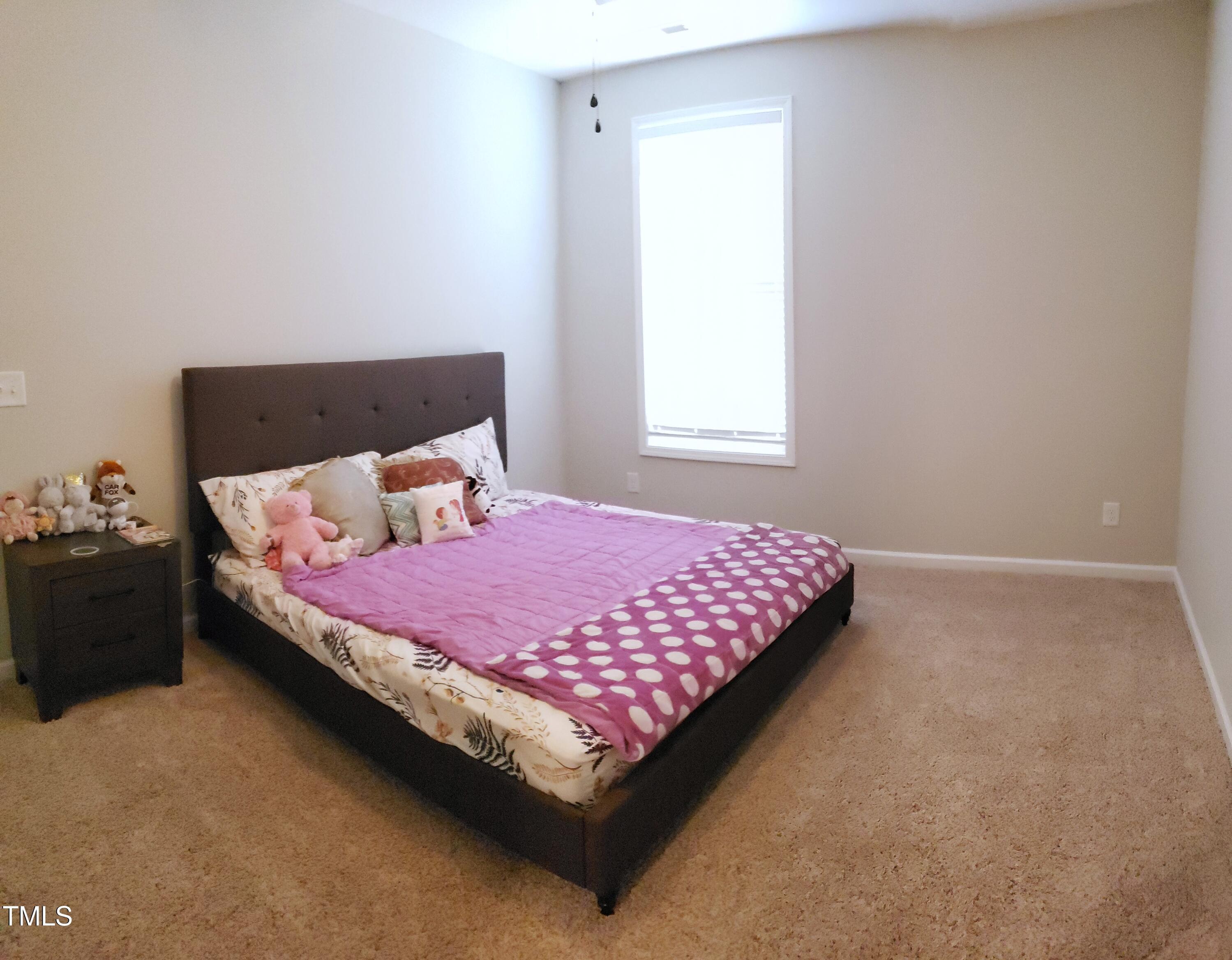 Photo #11