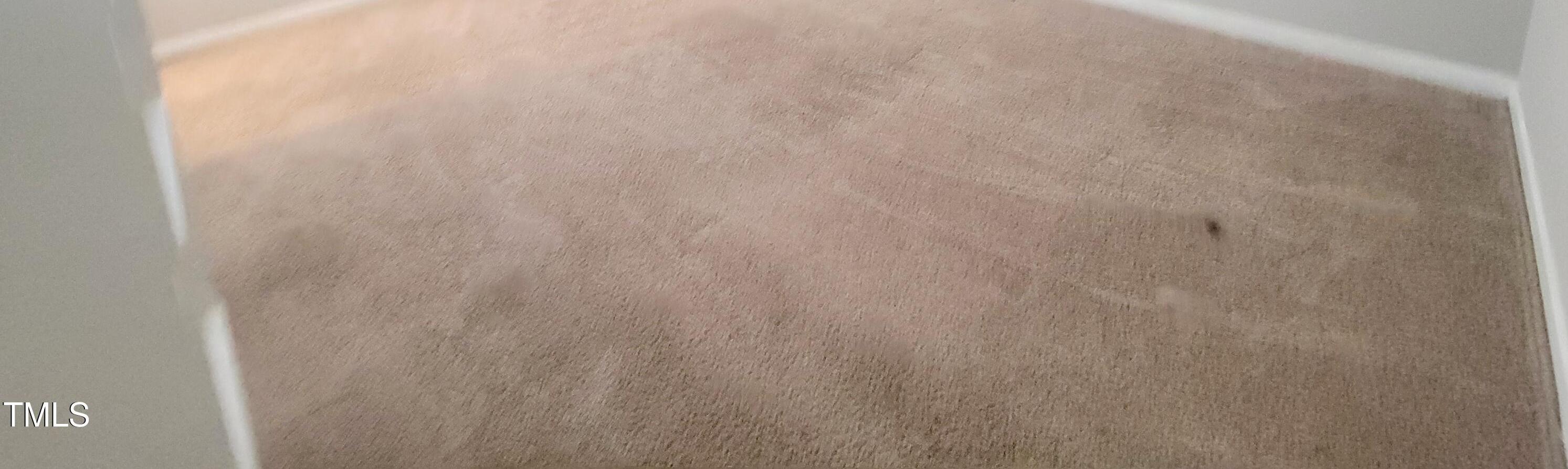 Photo #29
