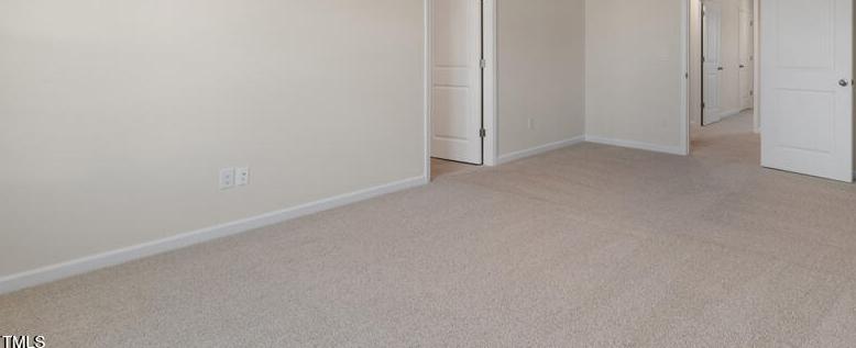 Photo #22