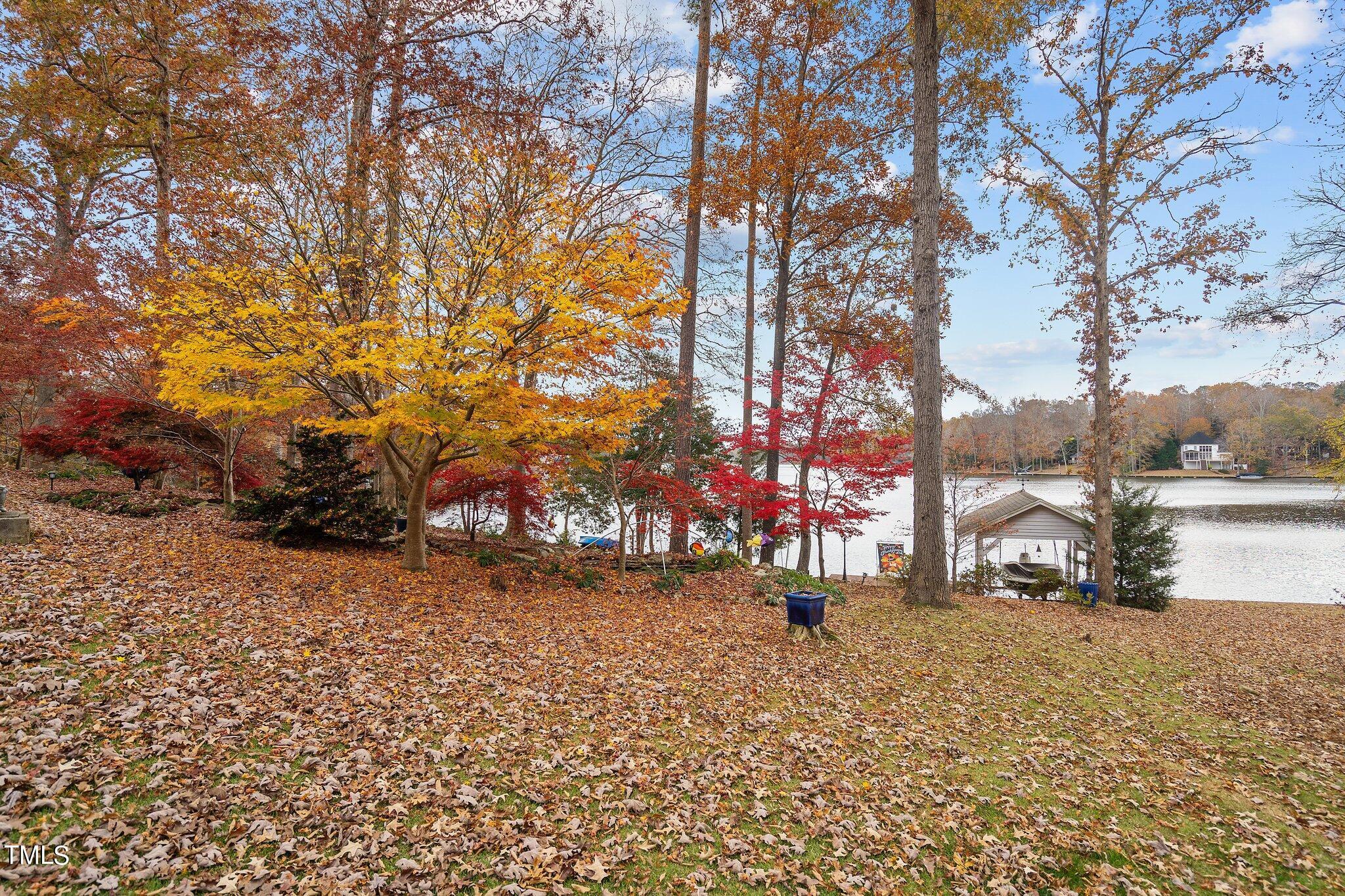 Photo #39
