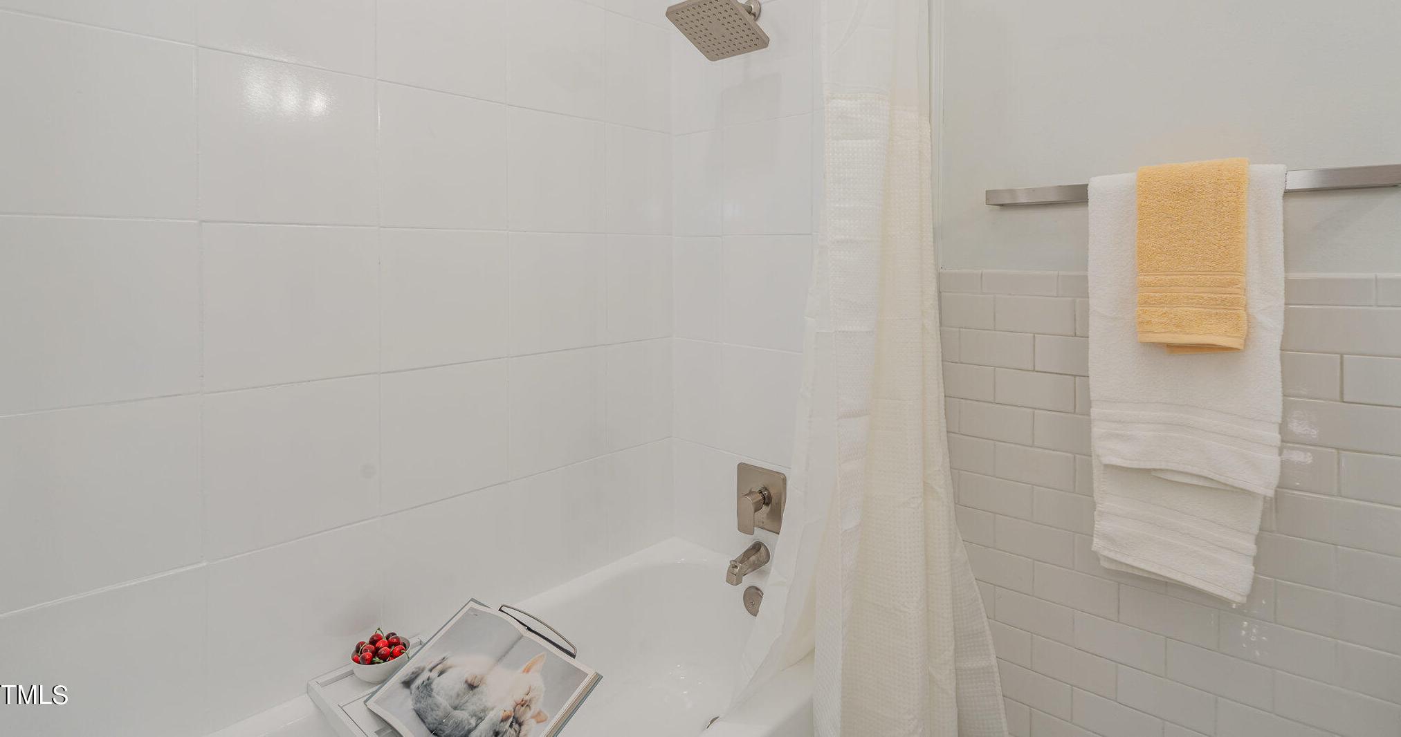 Photo #42