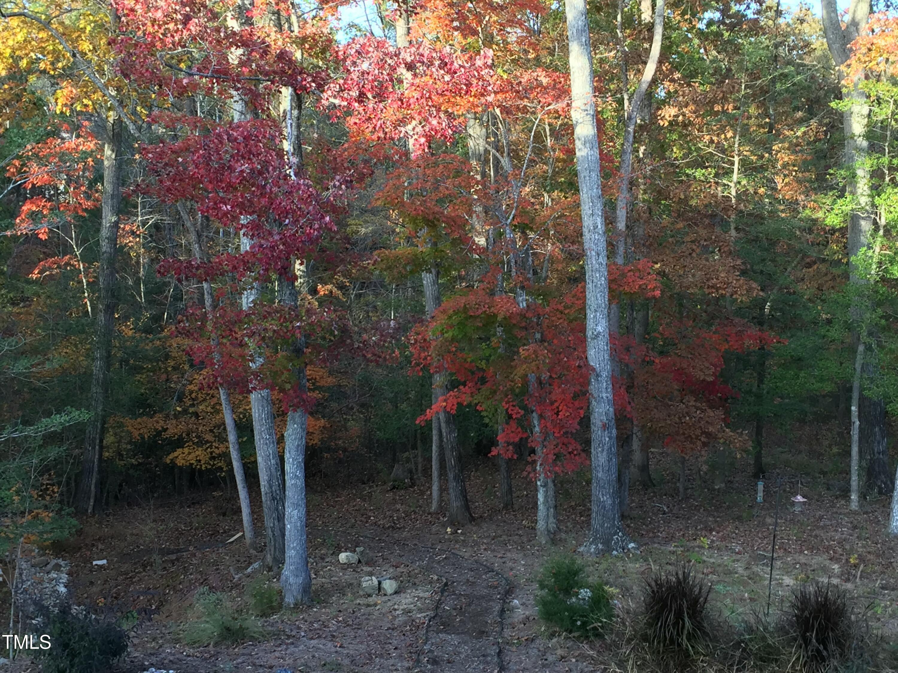 Photo #52