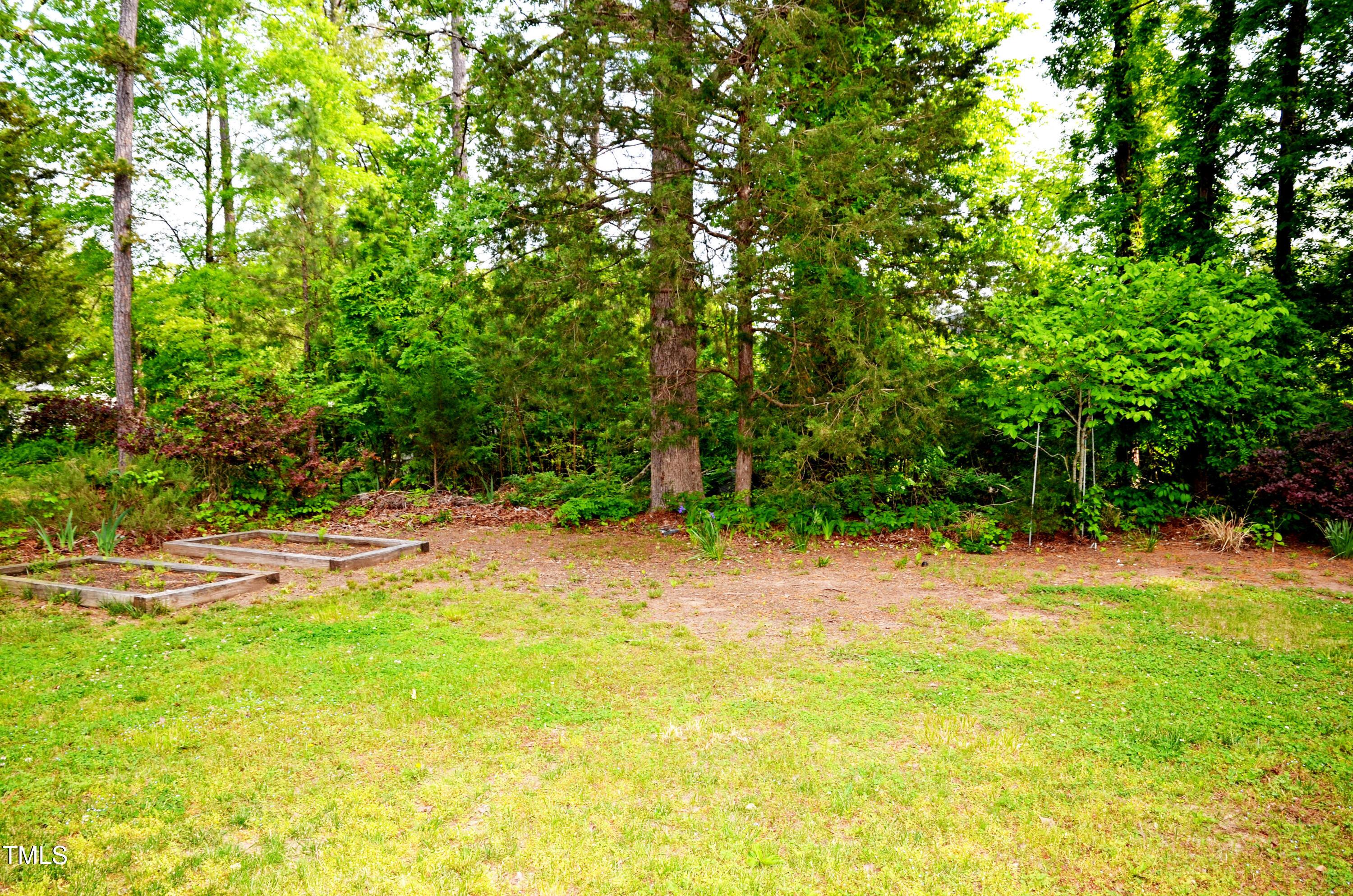 Photo #49