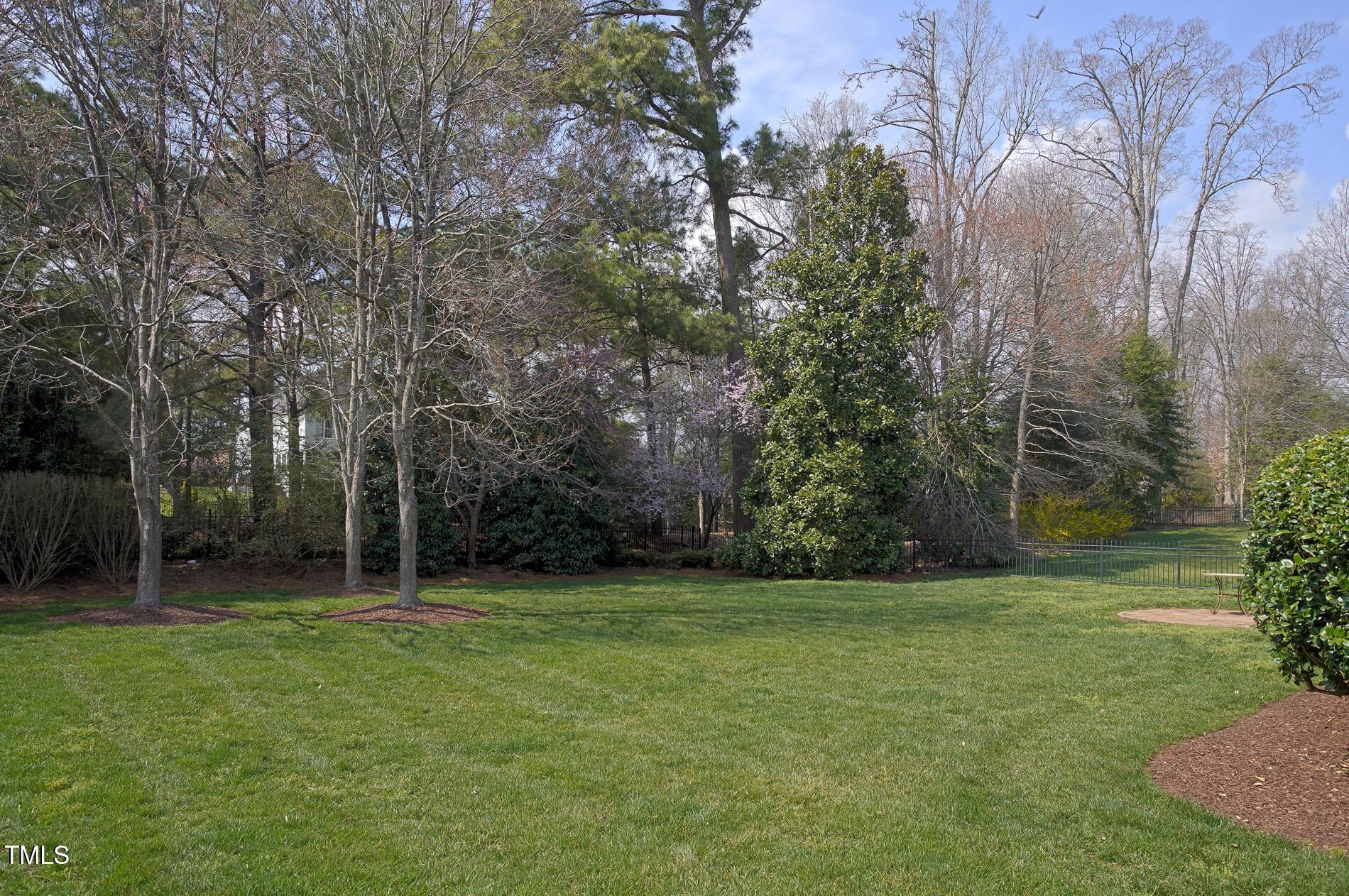 Photo #35