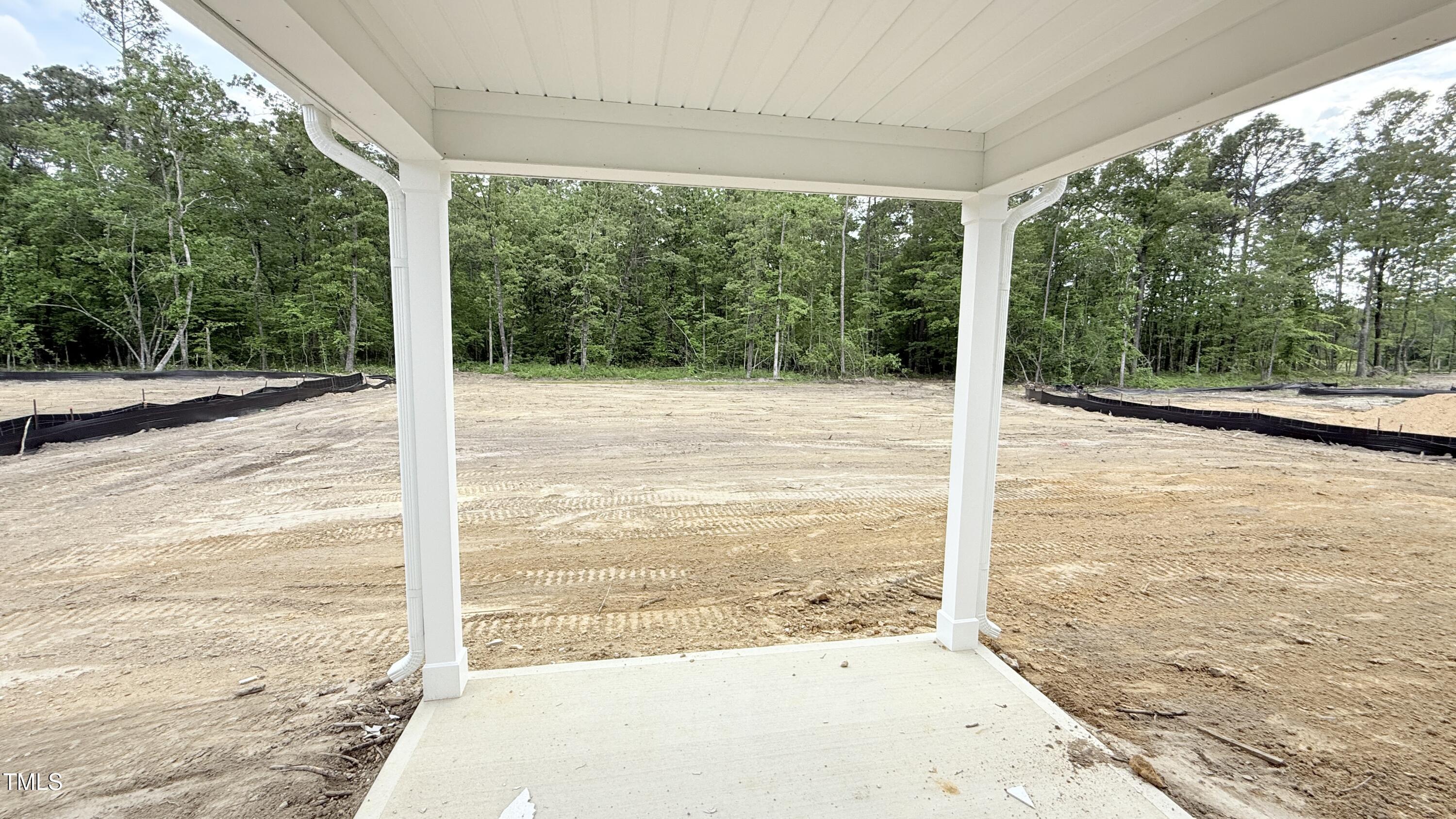 Photo #12