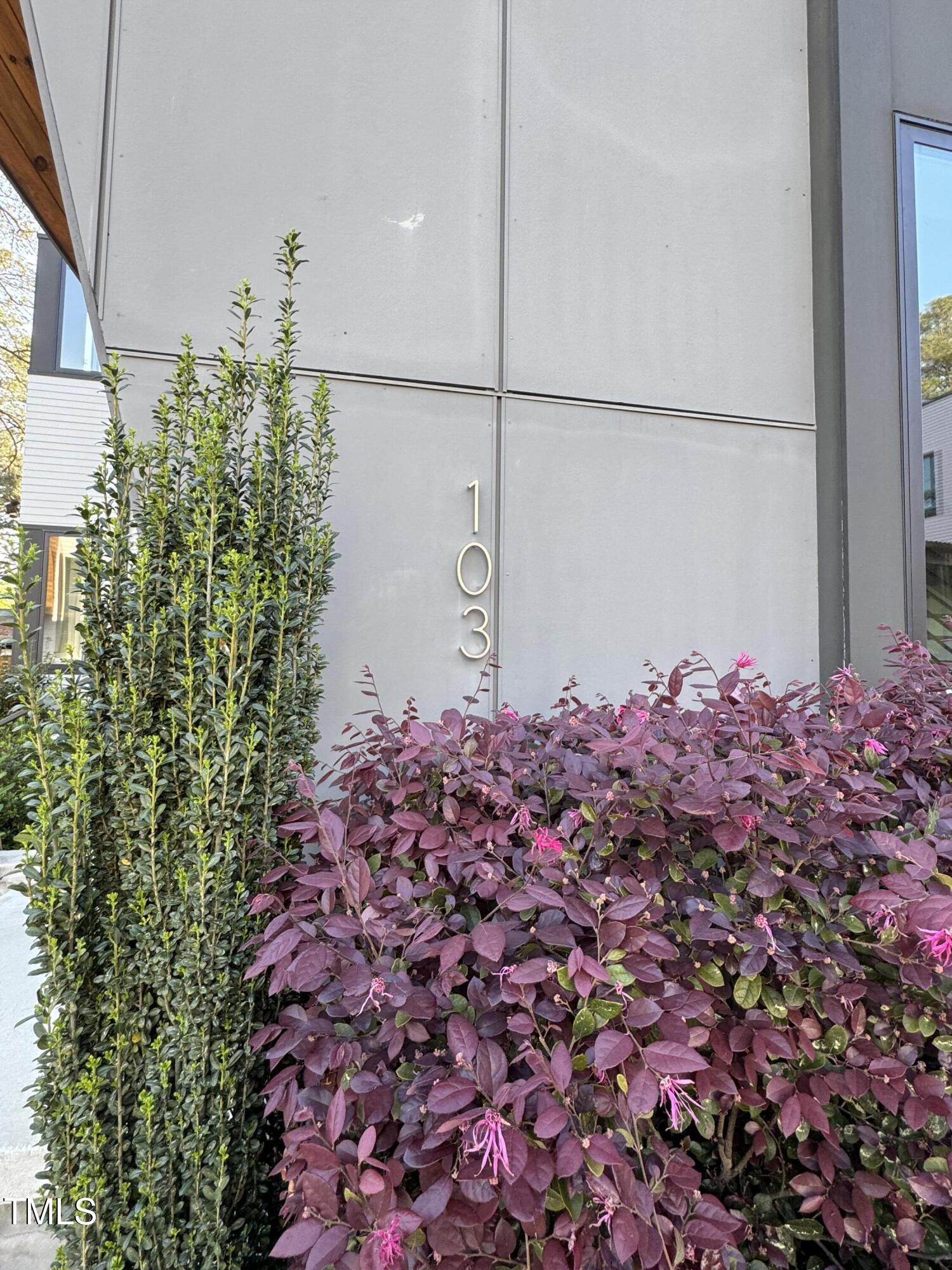 Photo #3