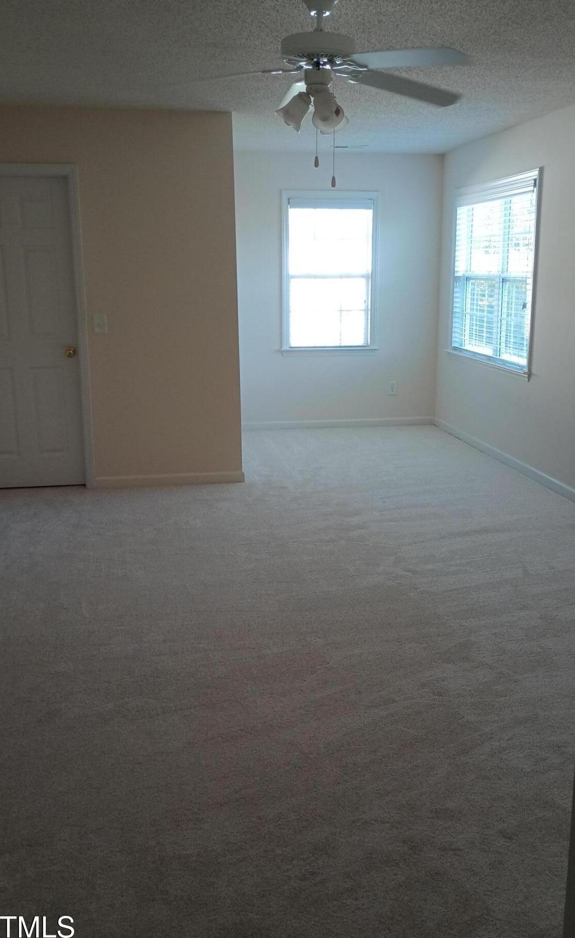 Photo #12