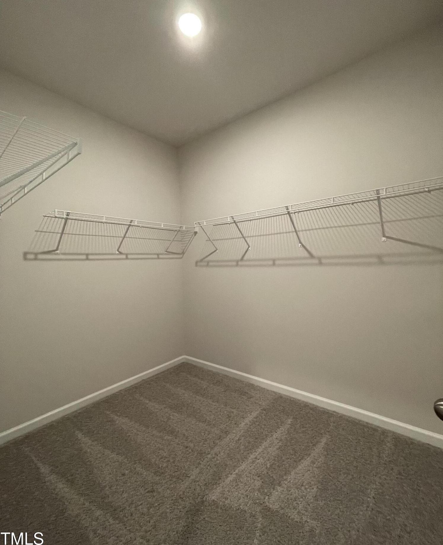 Photo #14