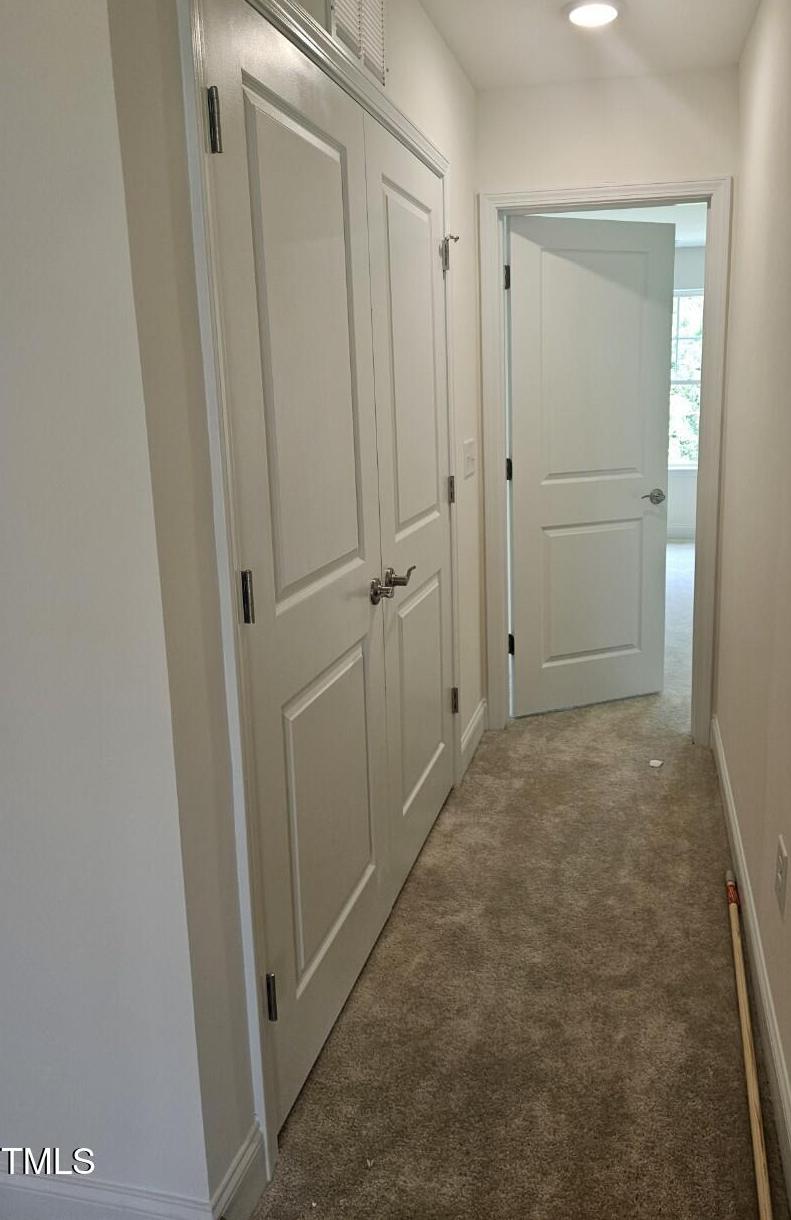 Photo #19