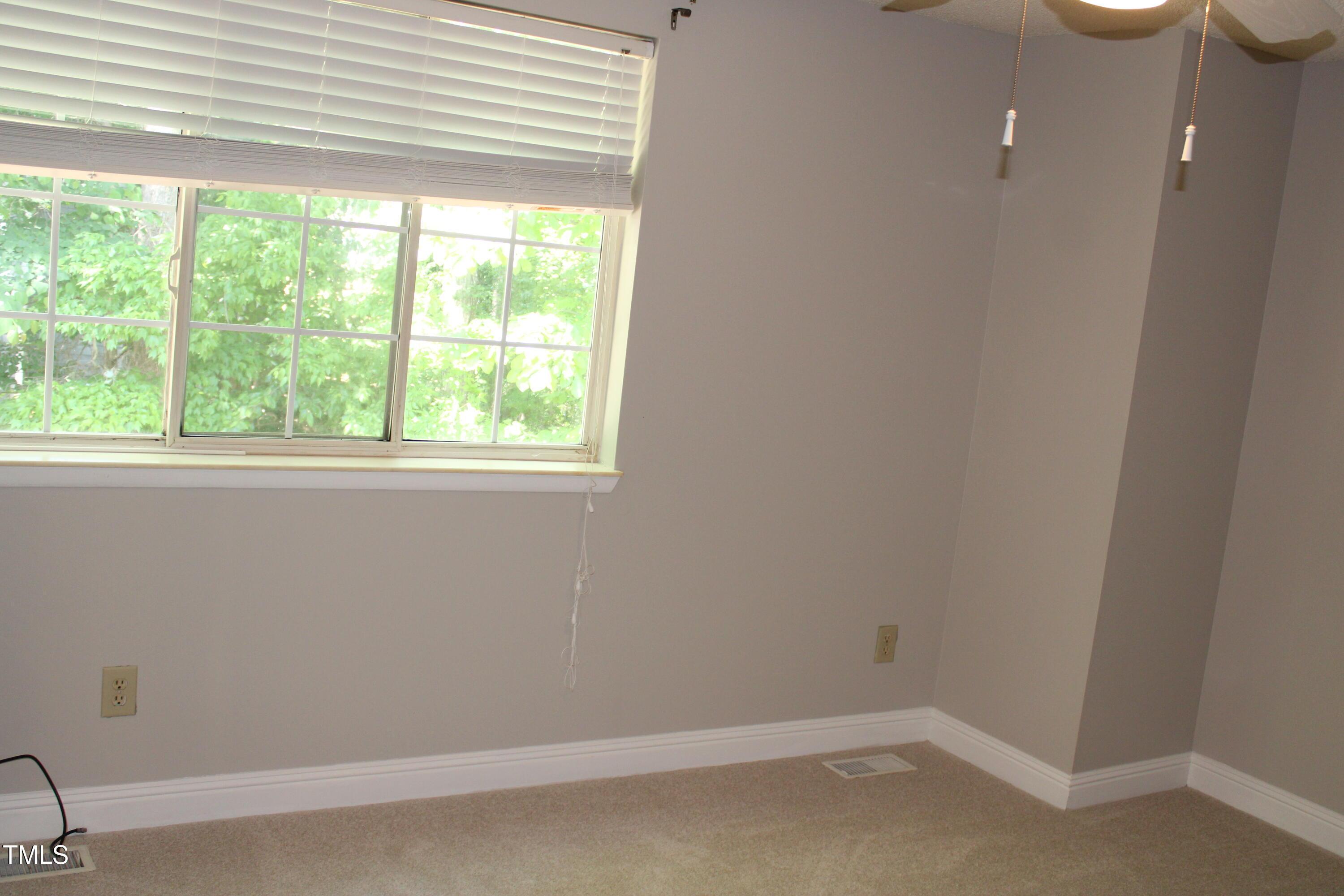 Photo #11