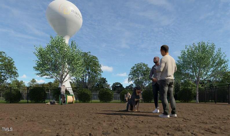 Photo #15