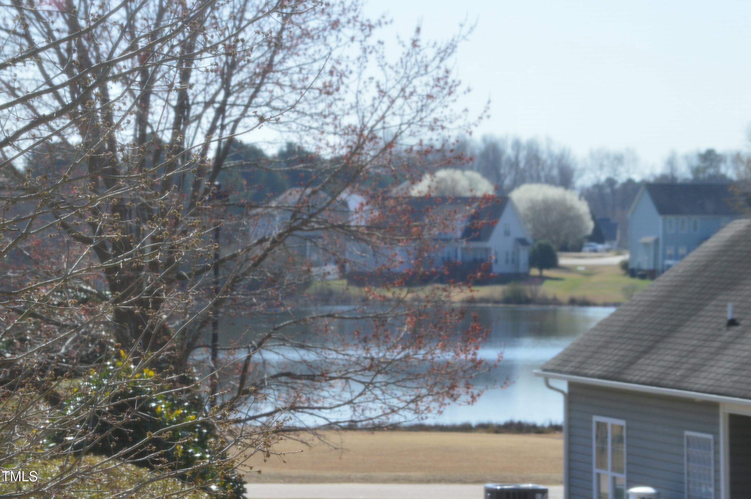 Photo #29