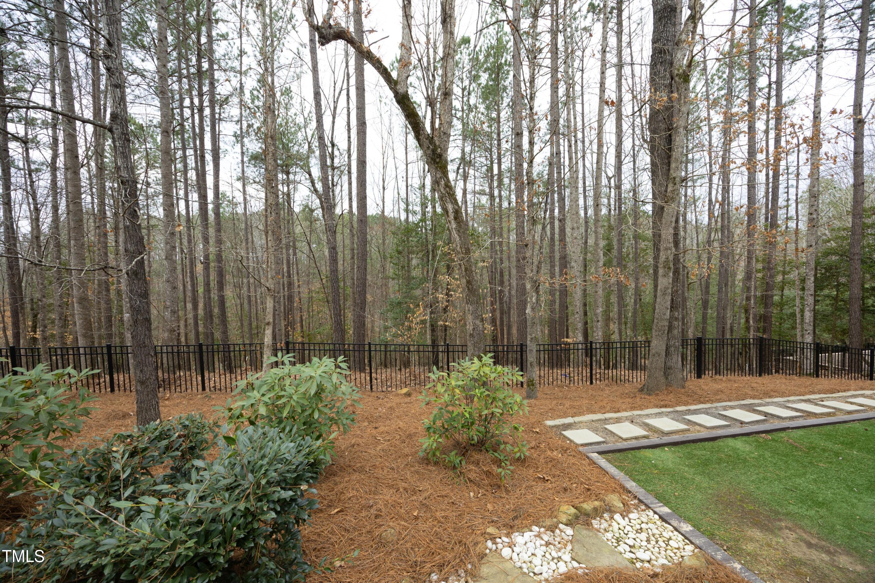 Photo #43