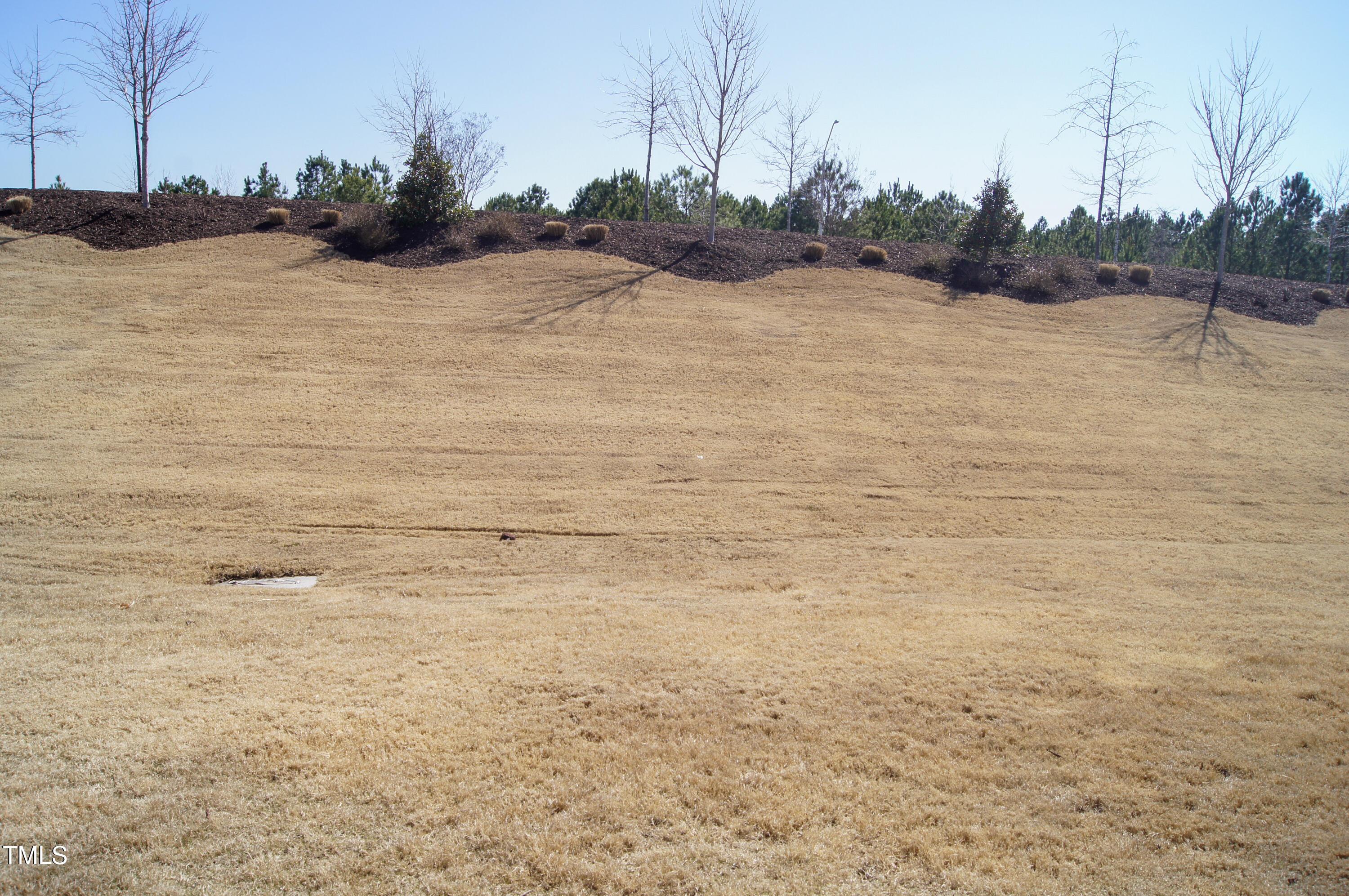 Photo #42