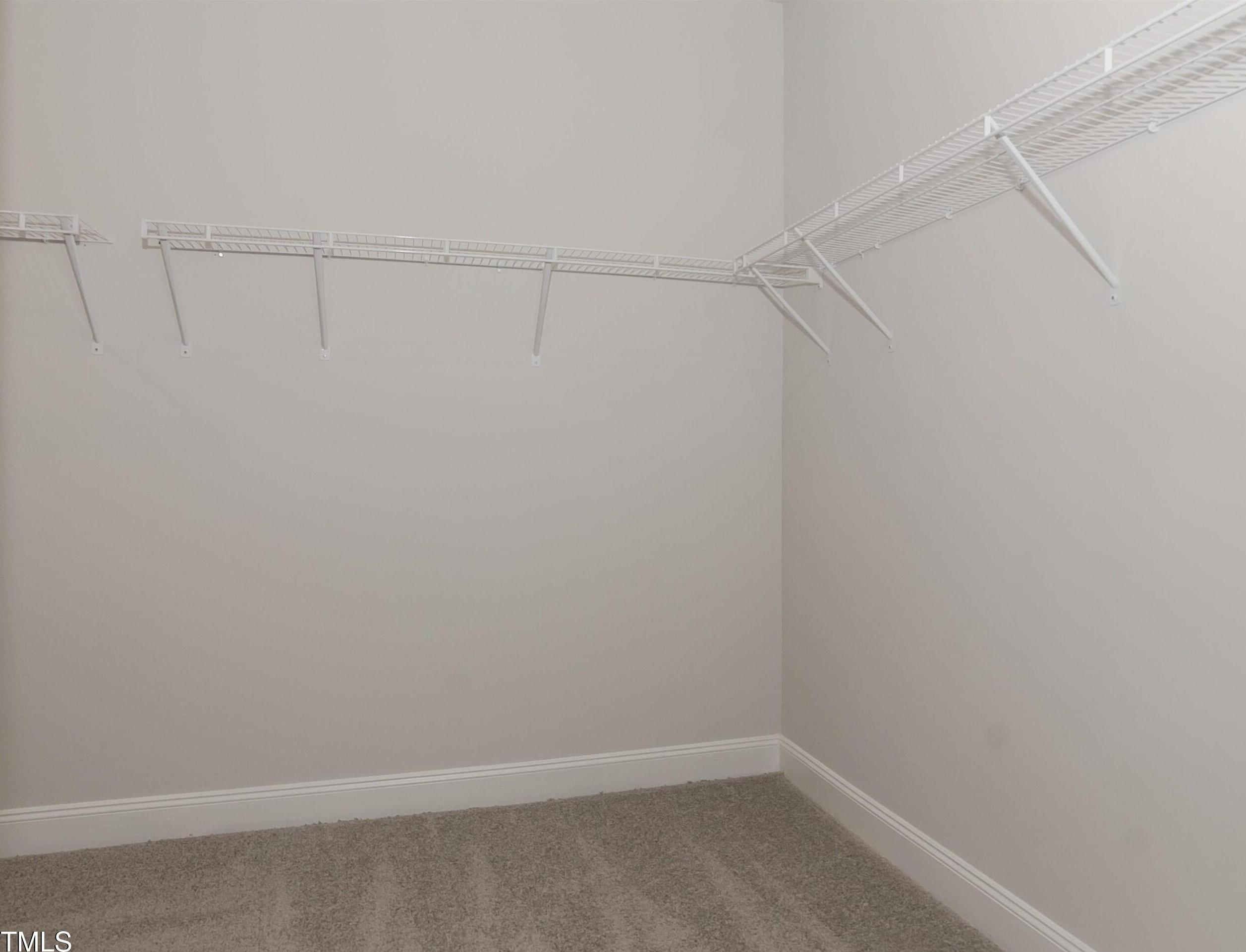 Photo #17