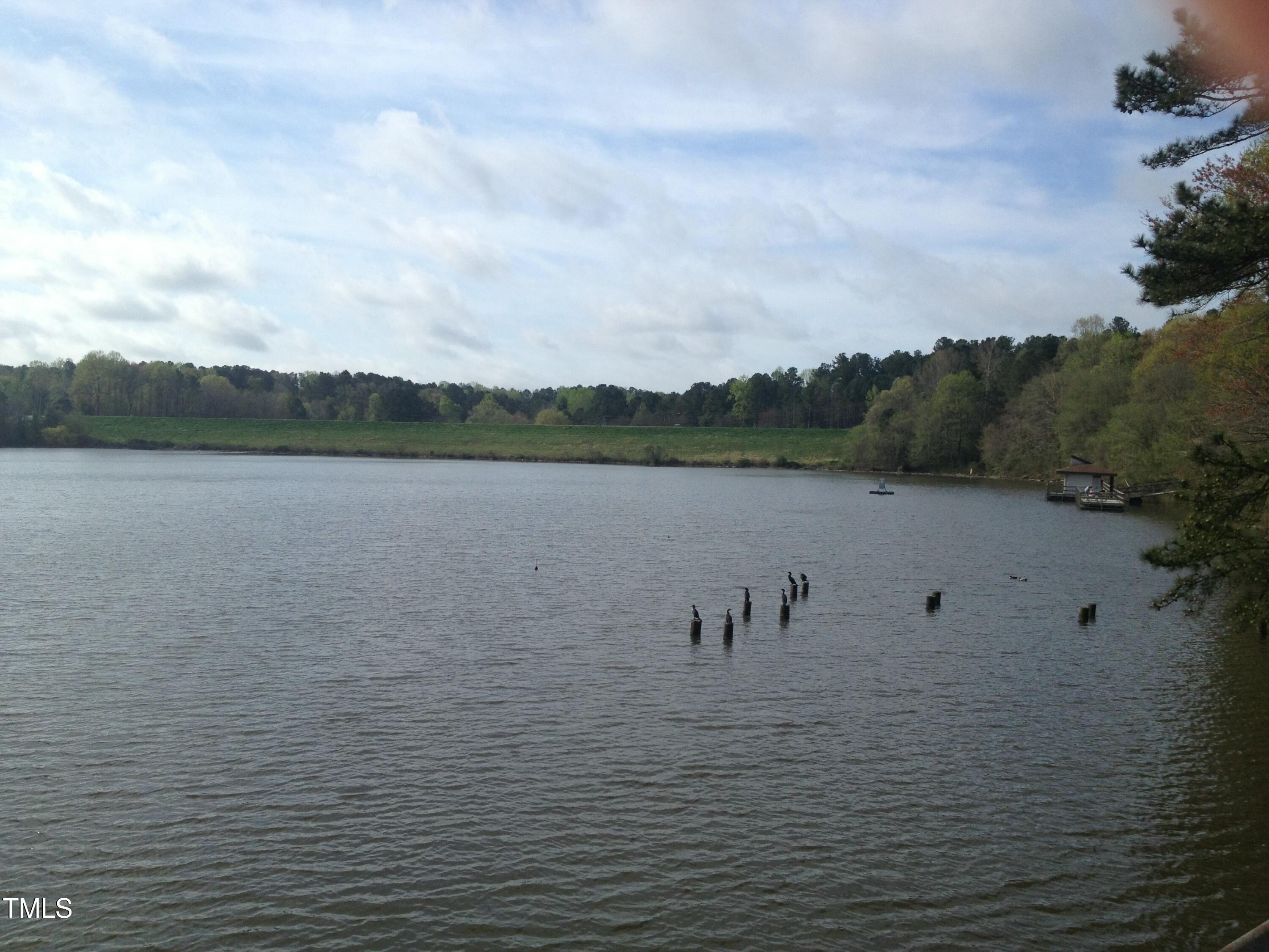 Photo #62