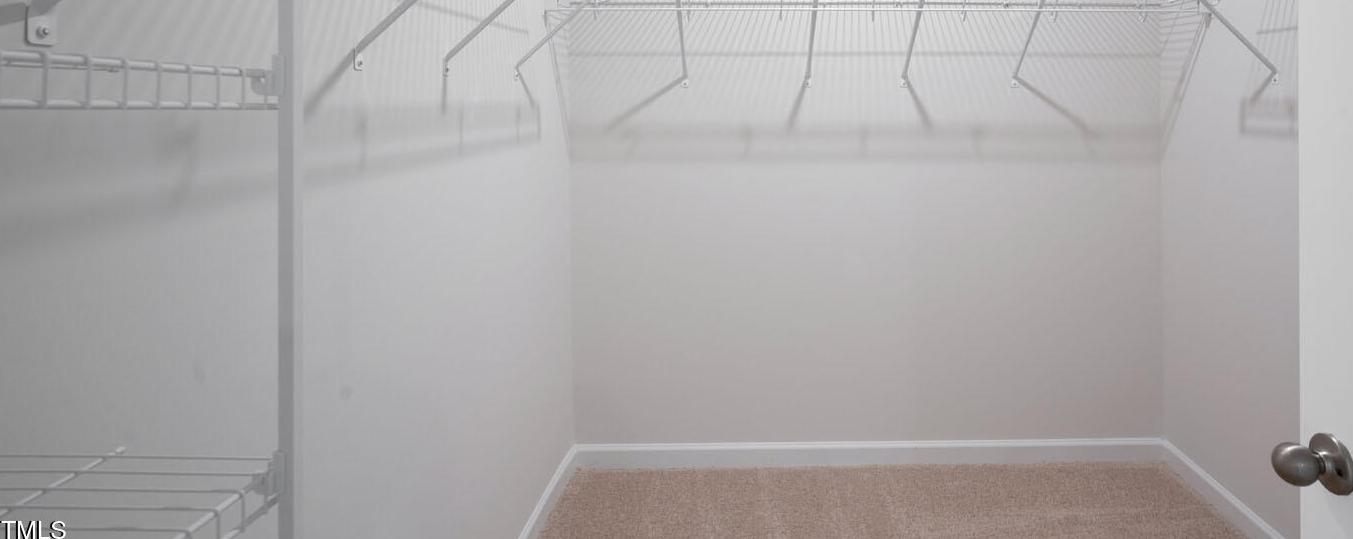 Photo #19