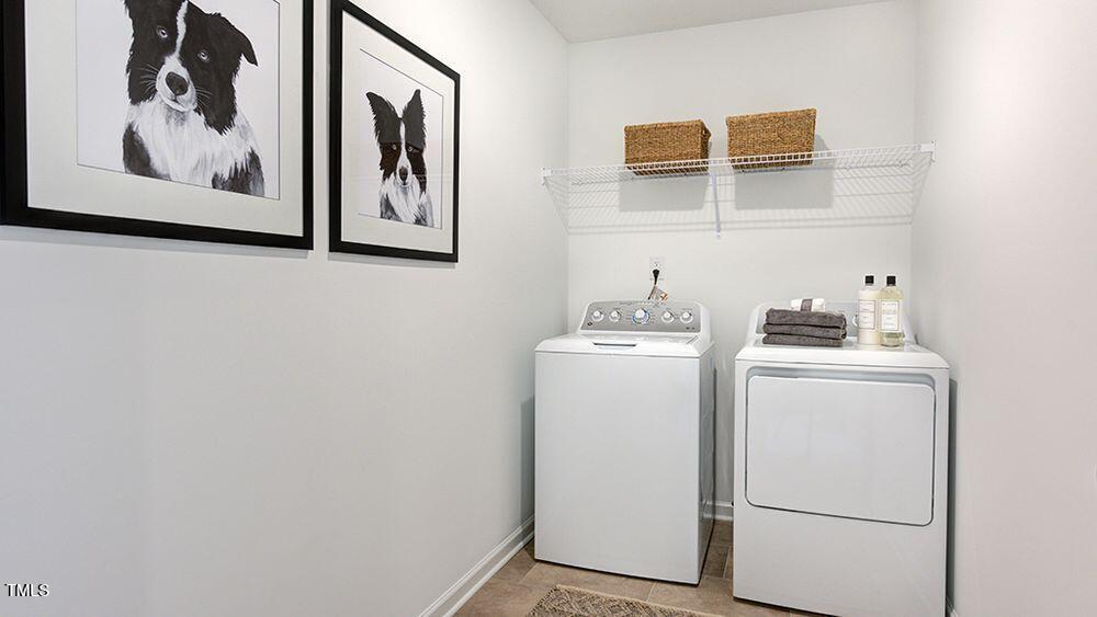 Photo #14