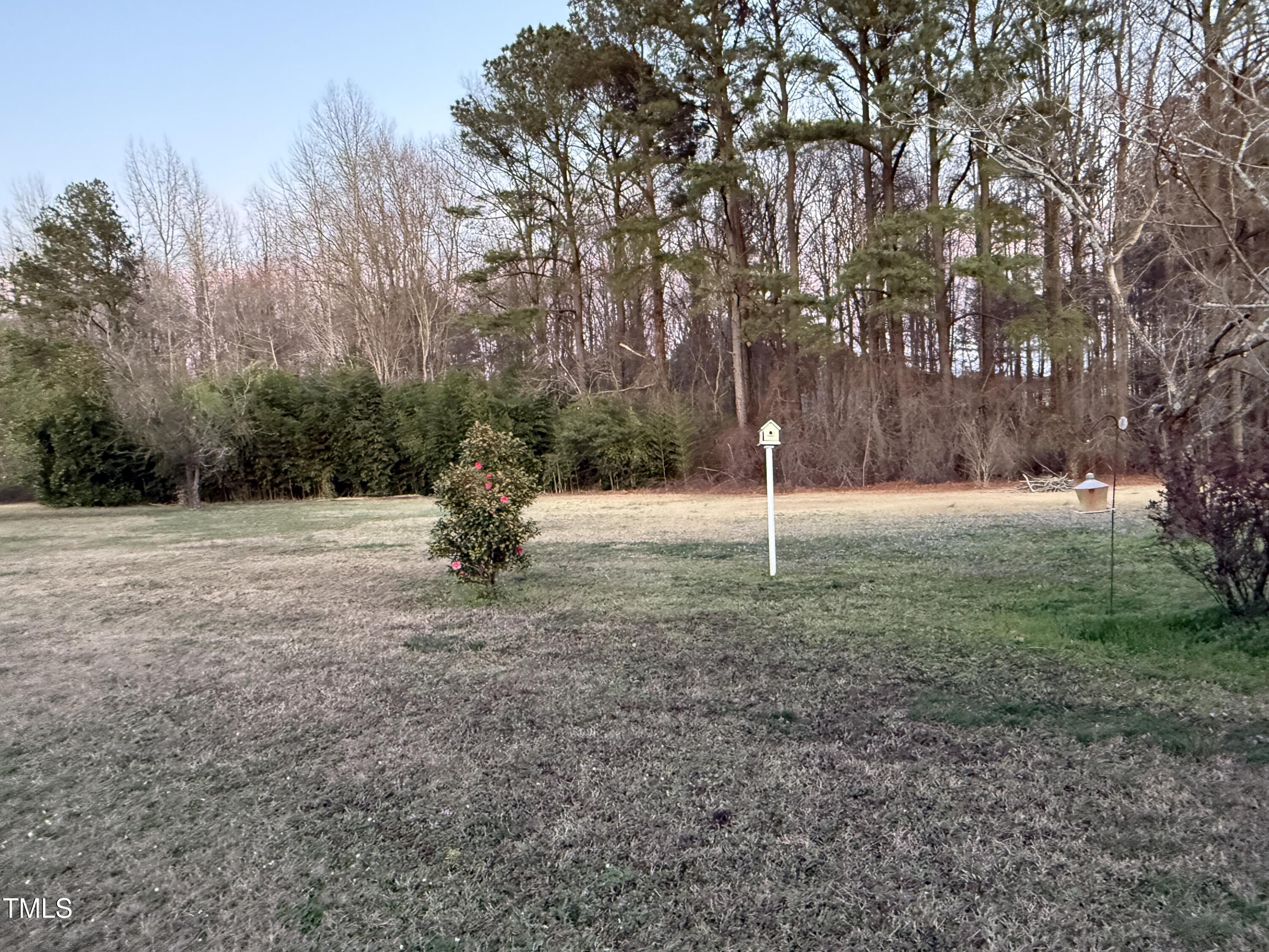 Photo #37