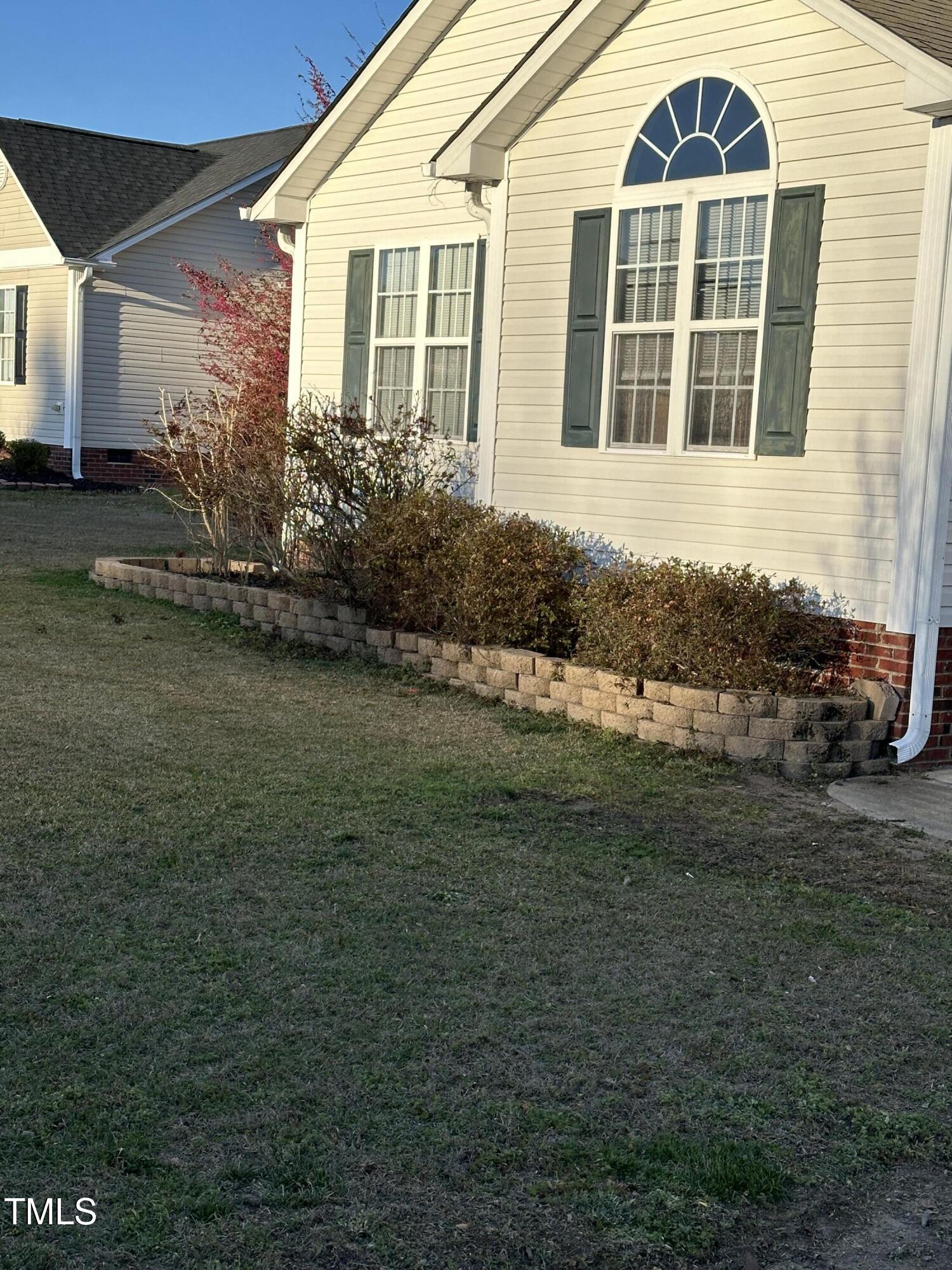 Photo #41