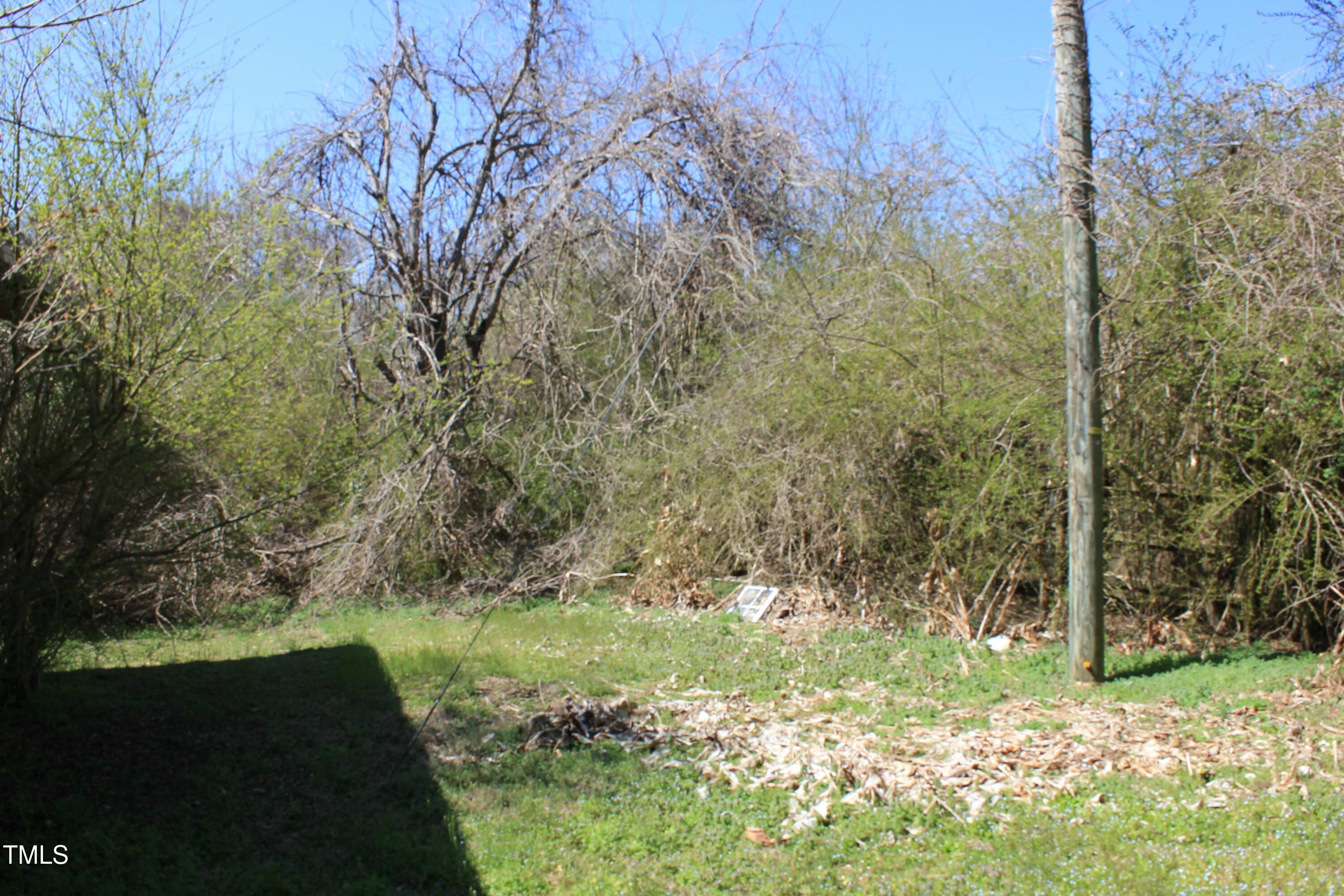 Photo #9