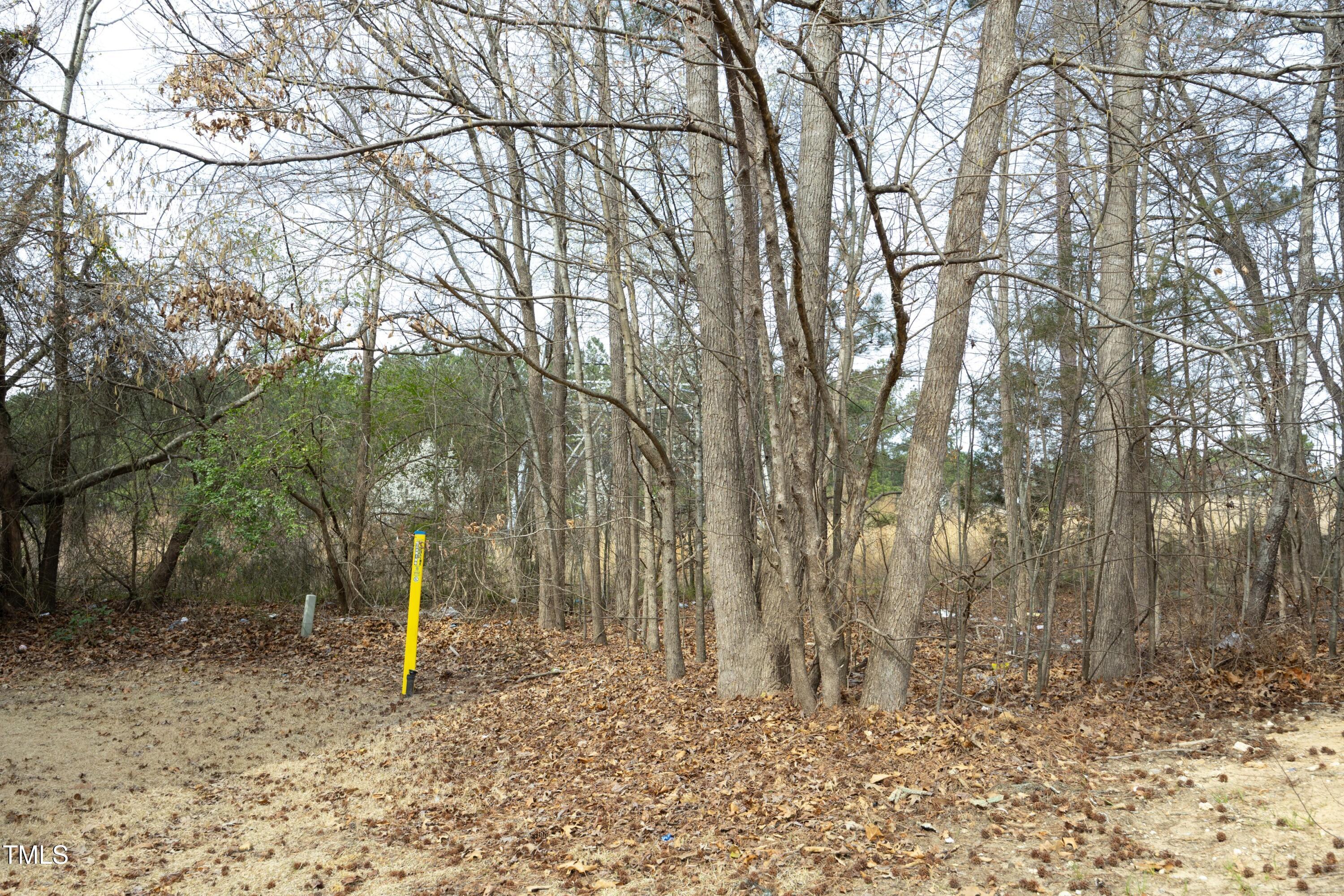 Photo #32