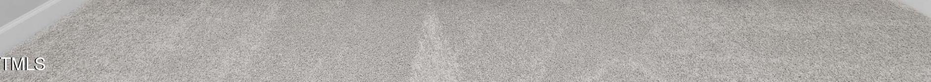 Photo #8