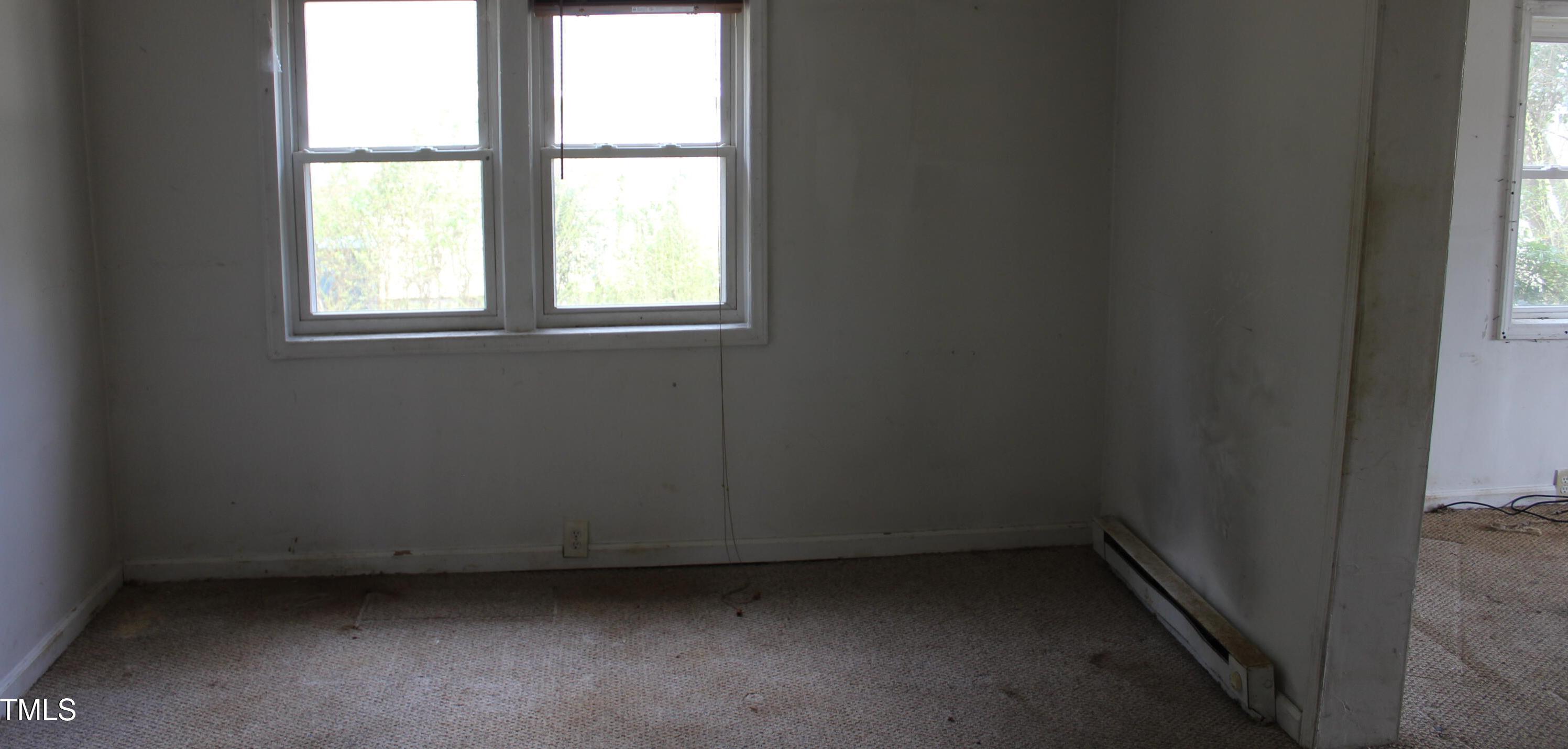 Photo #8