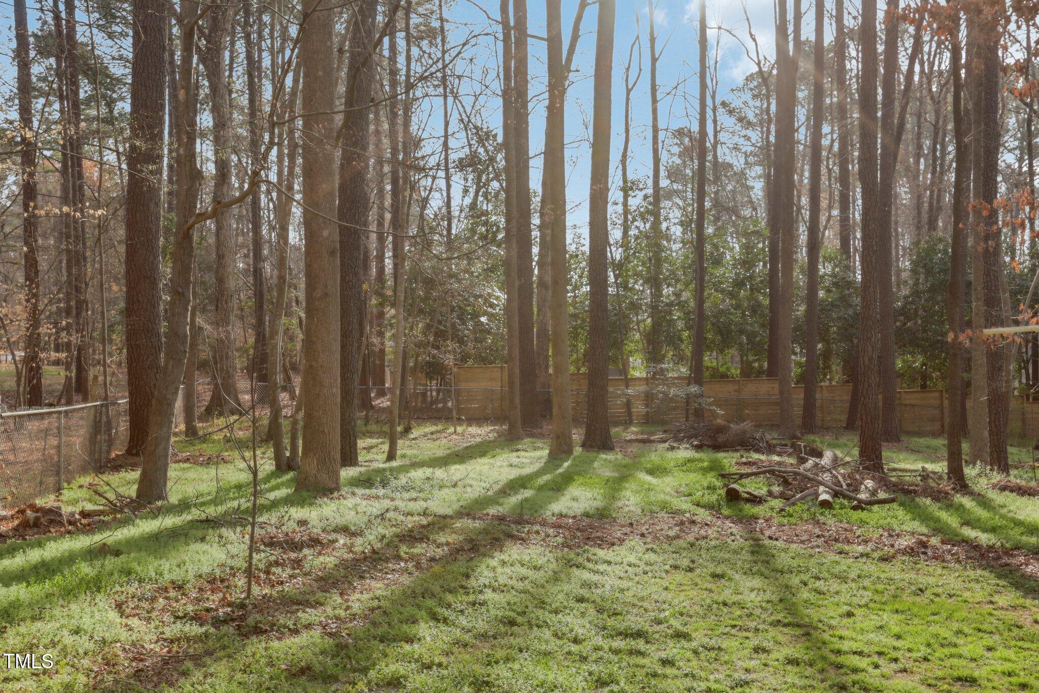 Photo #63