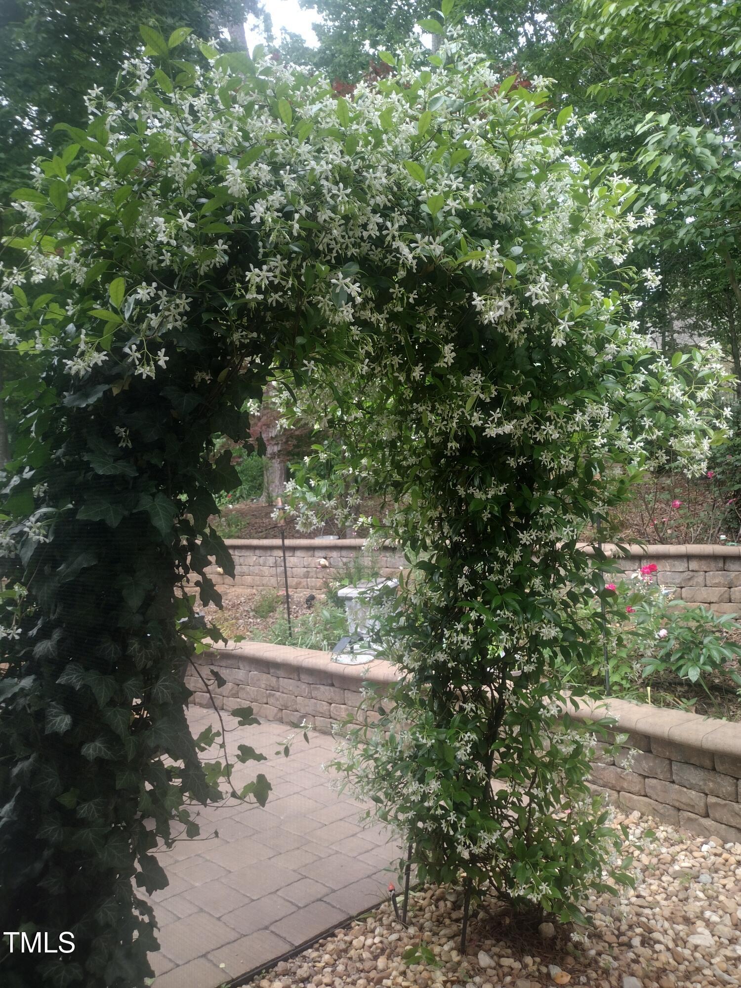 Photo #36