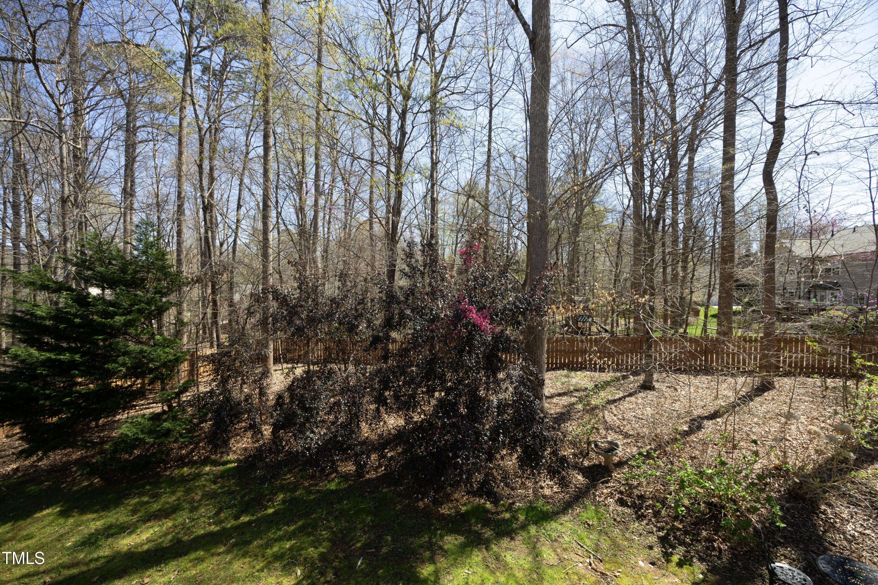 Photo #25