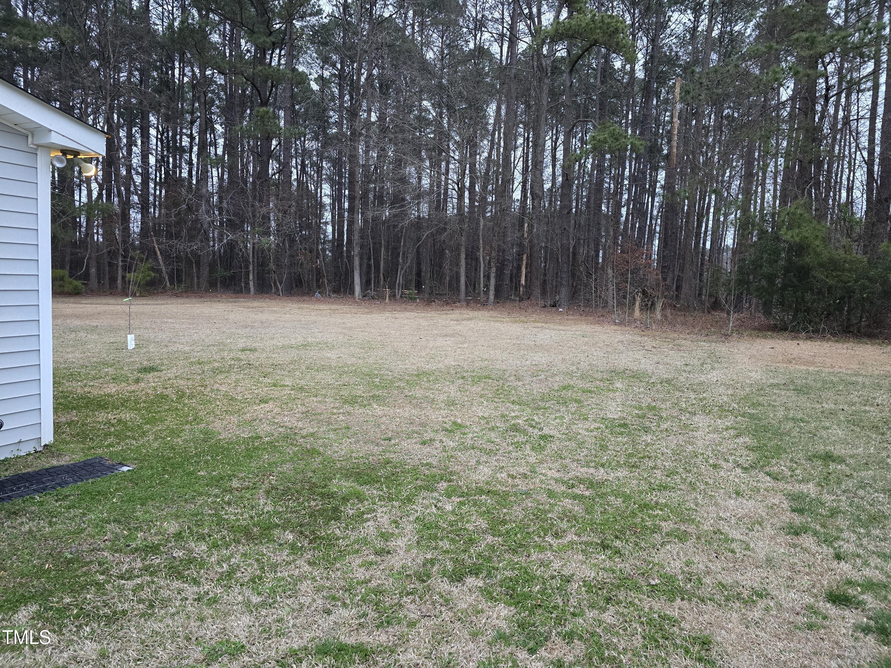 Photo #6