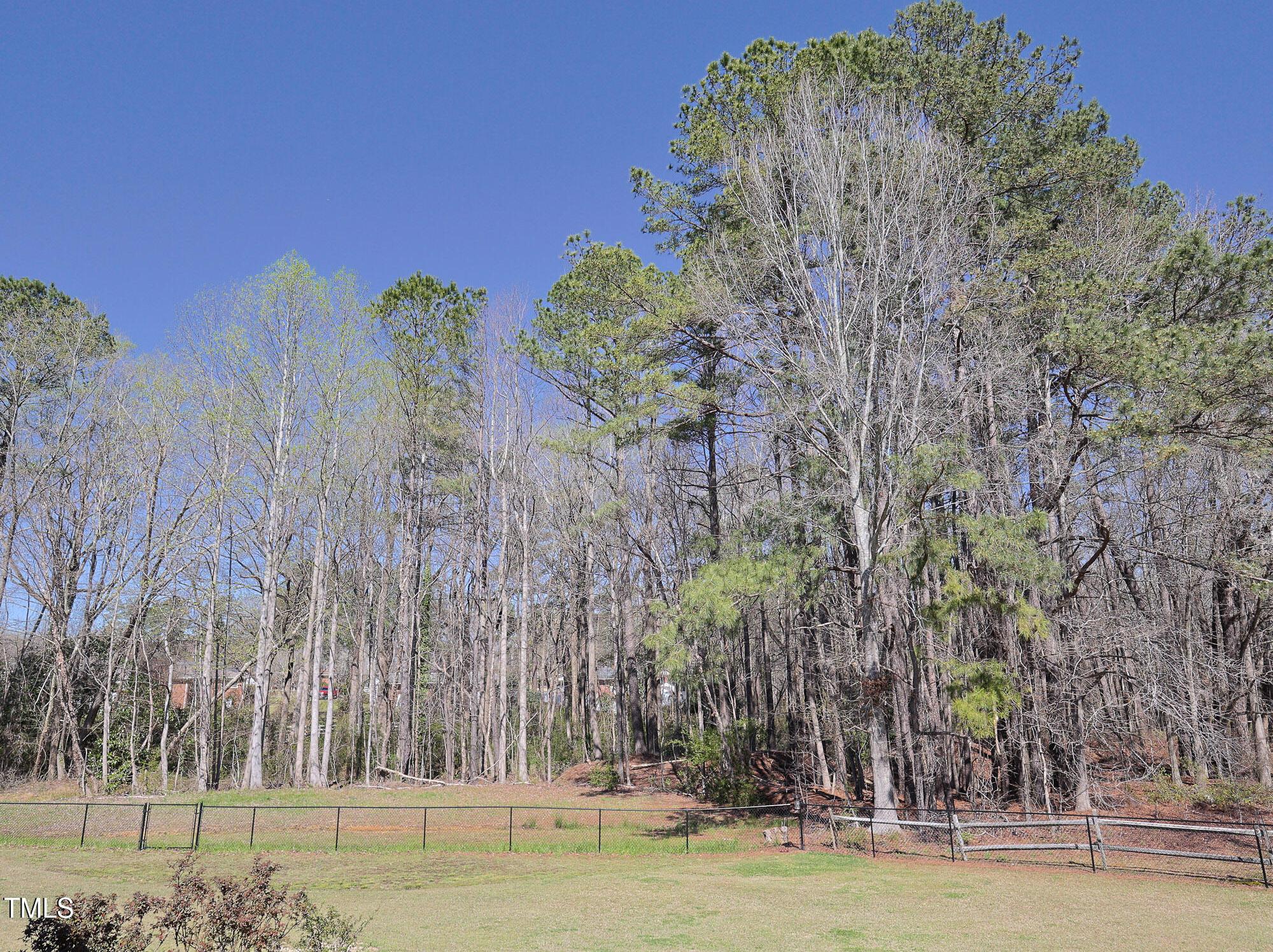 Photo #42