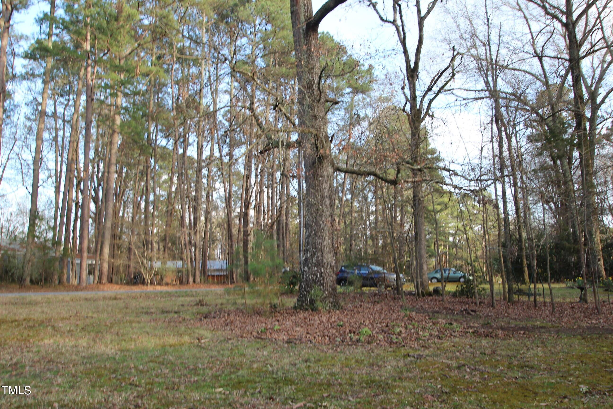Photo #20