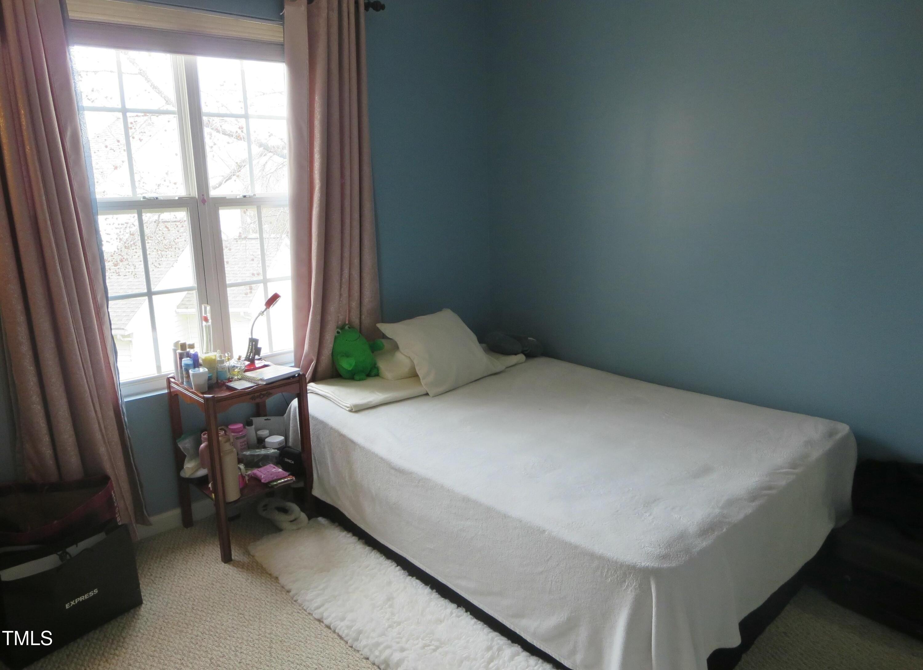 Photo #13